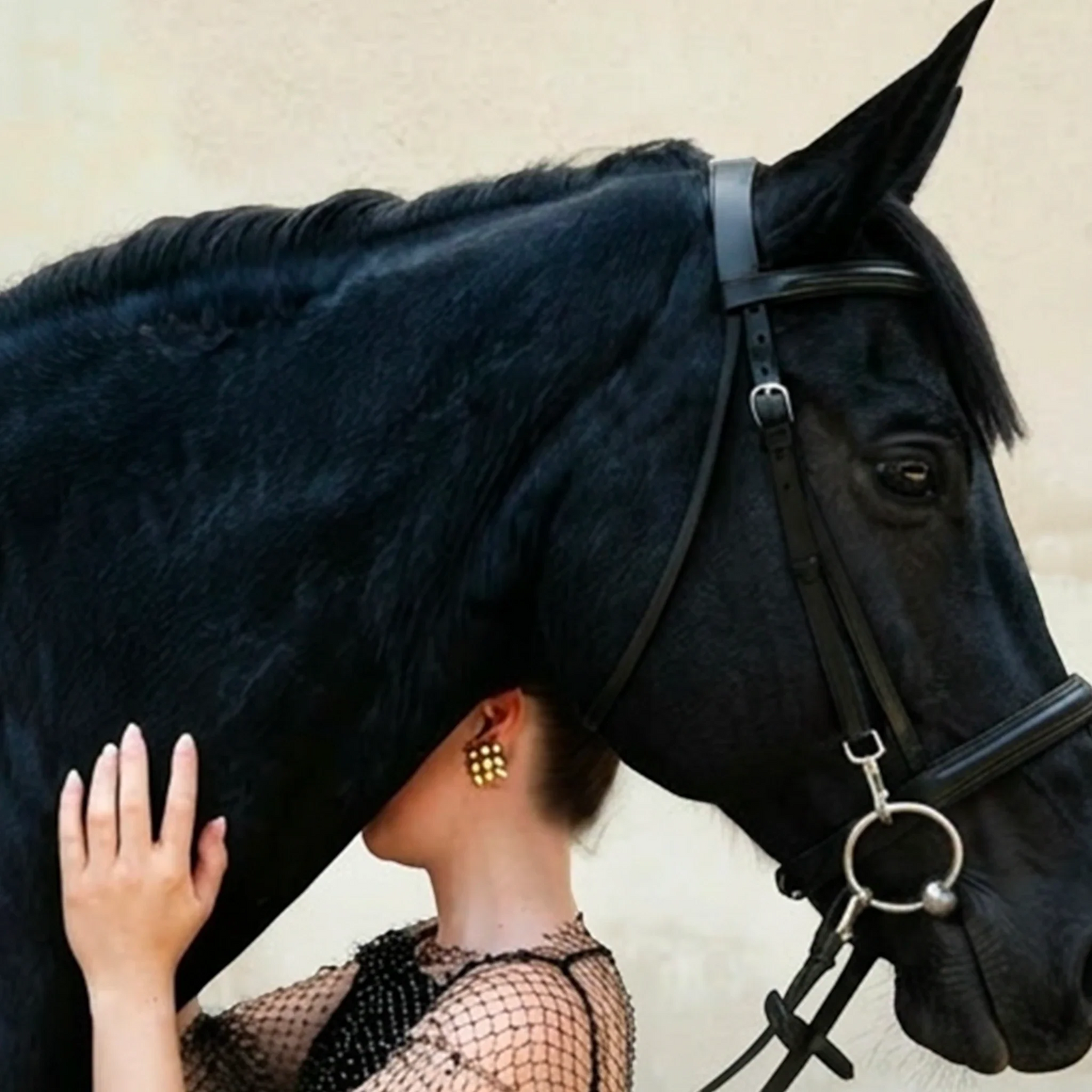 Comment choisir un frontal pour son cheval ?