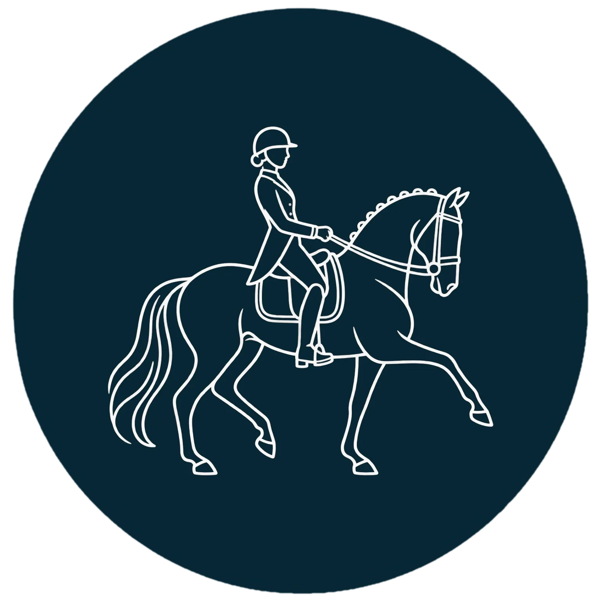 TdeT - Discipline dressage
