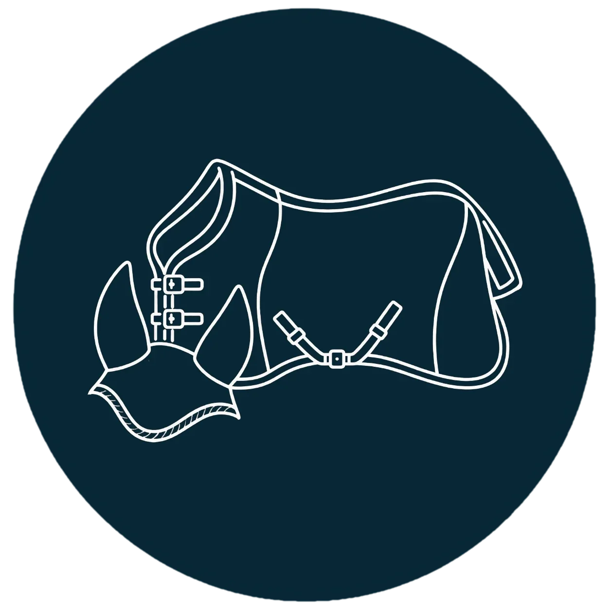 TdeT - Textile cheval