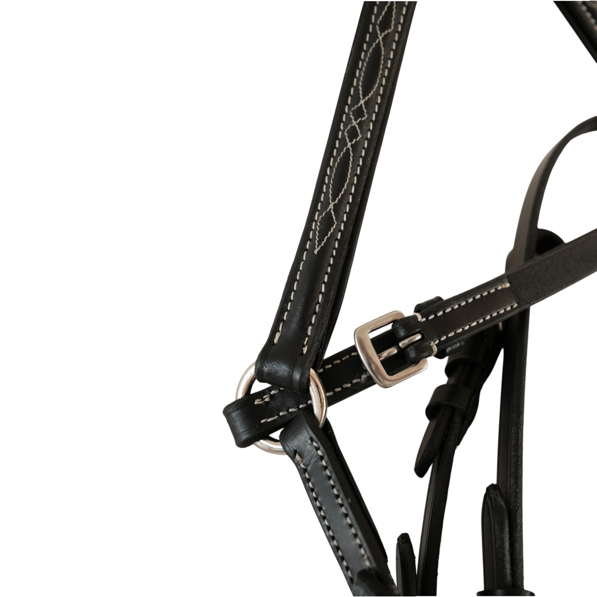 Tdet-Bridon classique Picabia muserolle croise