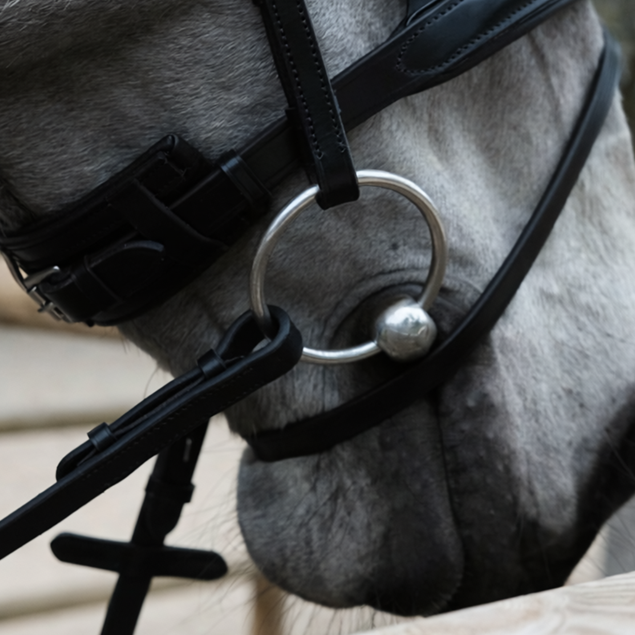 Bridon anatomique Hopper avec rênes