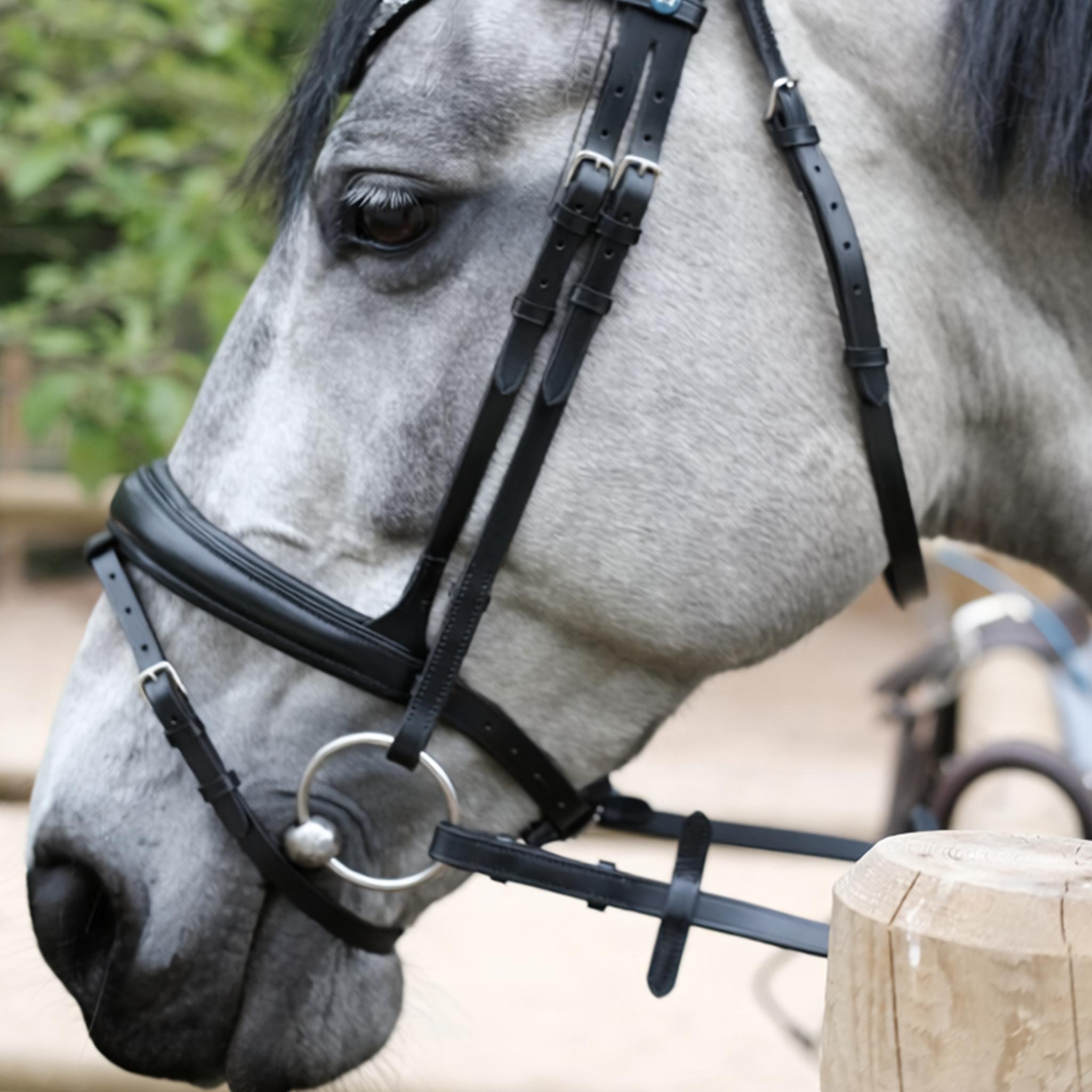 Bridon anatomique Hopper avec rênes