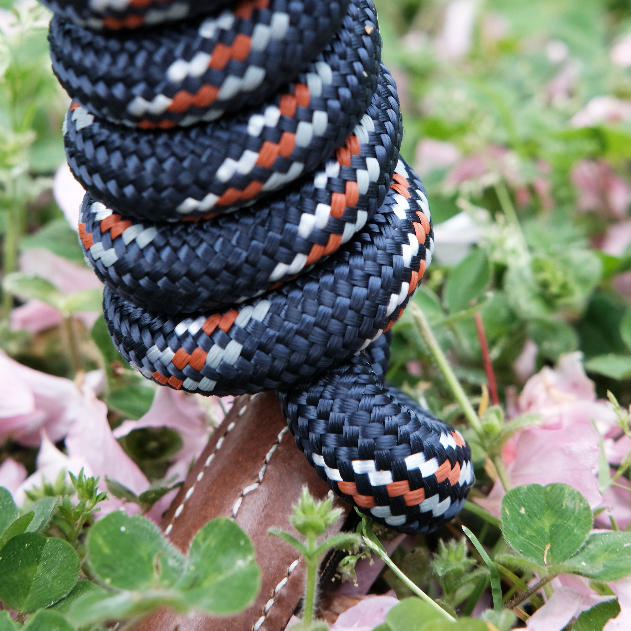 Luxe round lead rope