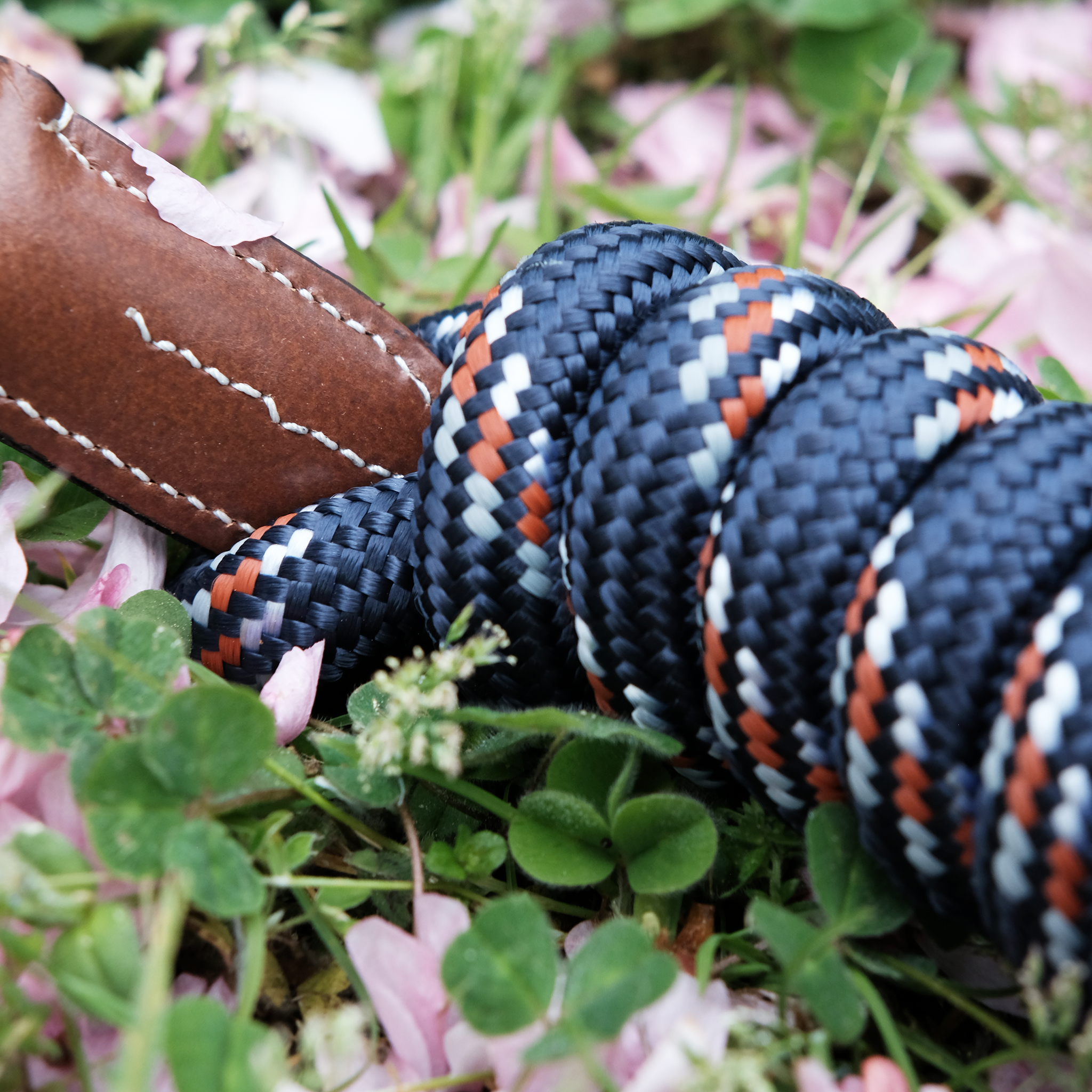 Luxe round lead rope