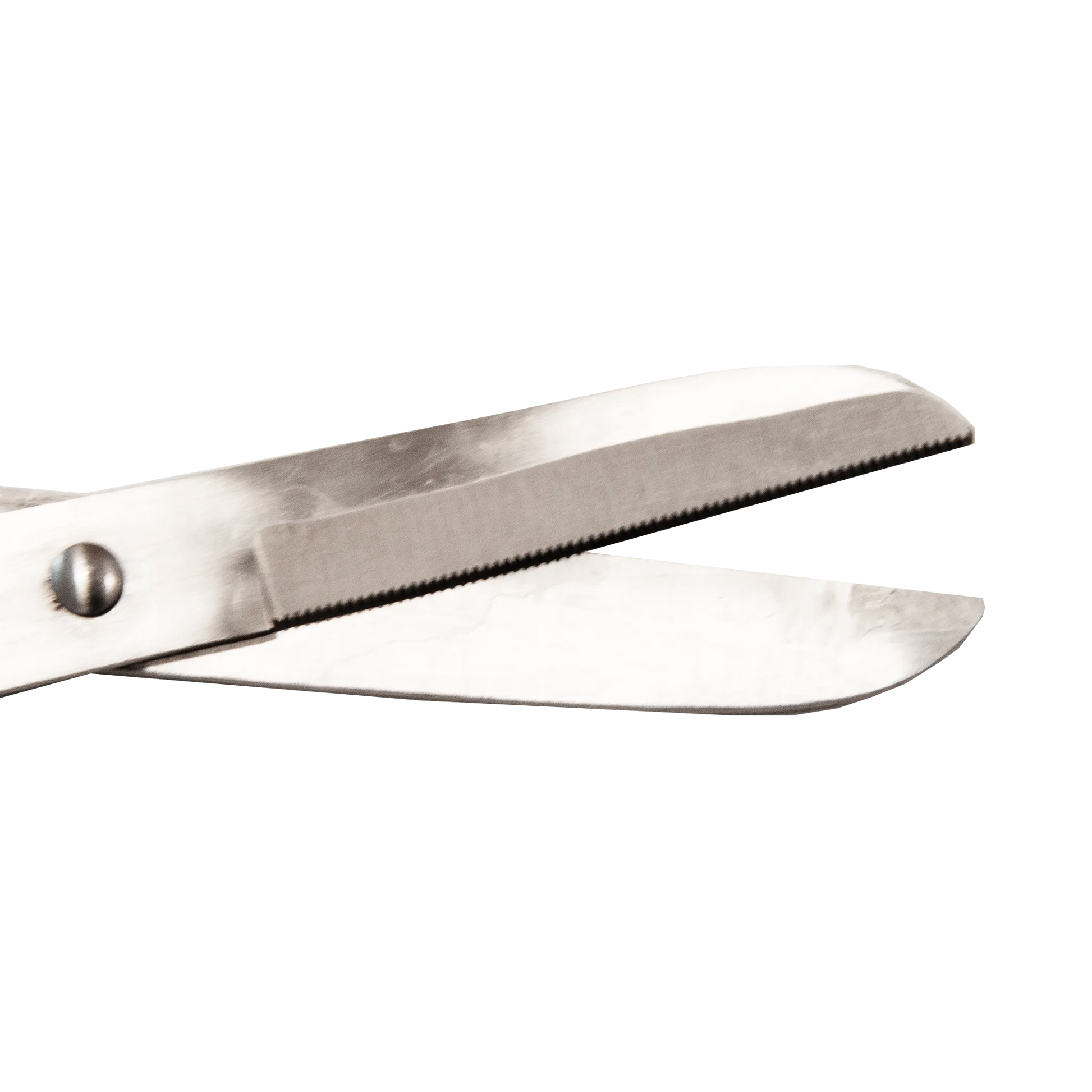 TdeT - Ciseaux de pansage courbé