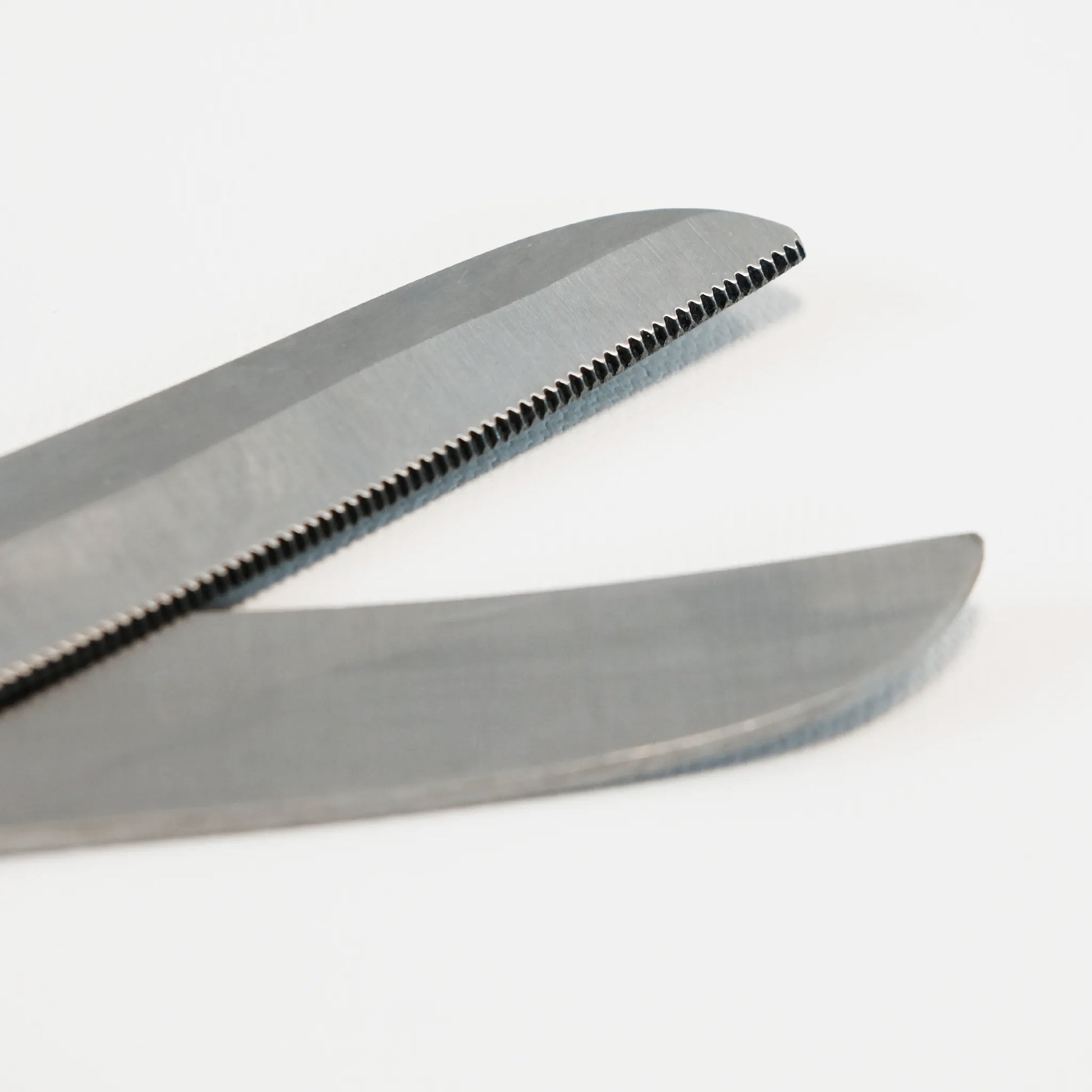 TdeT - Ciseaux de pansage courbé