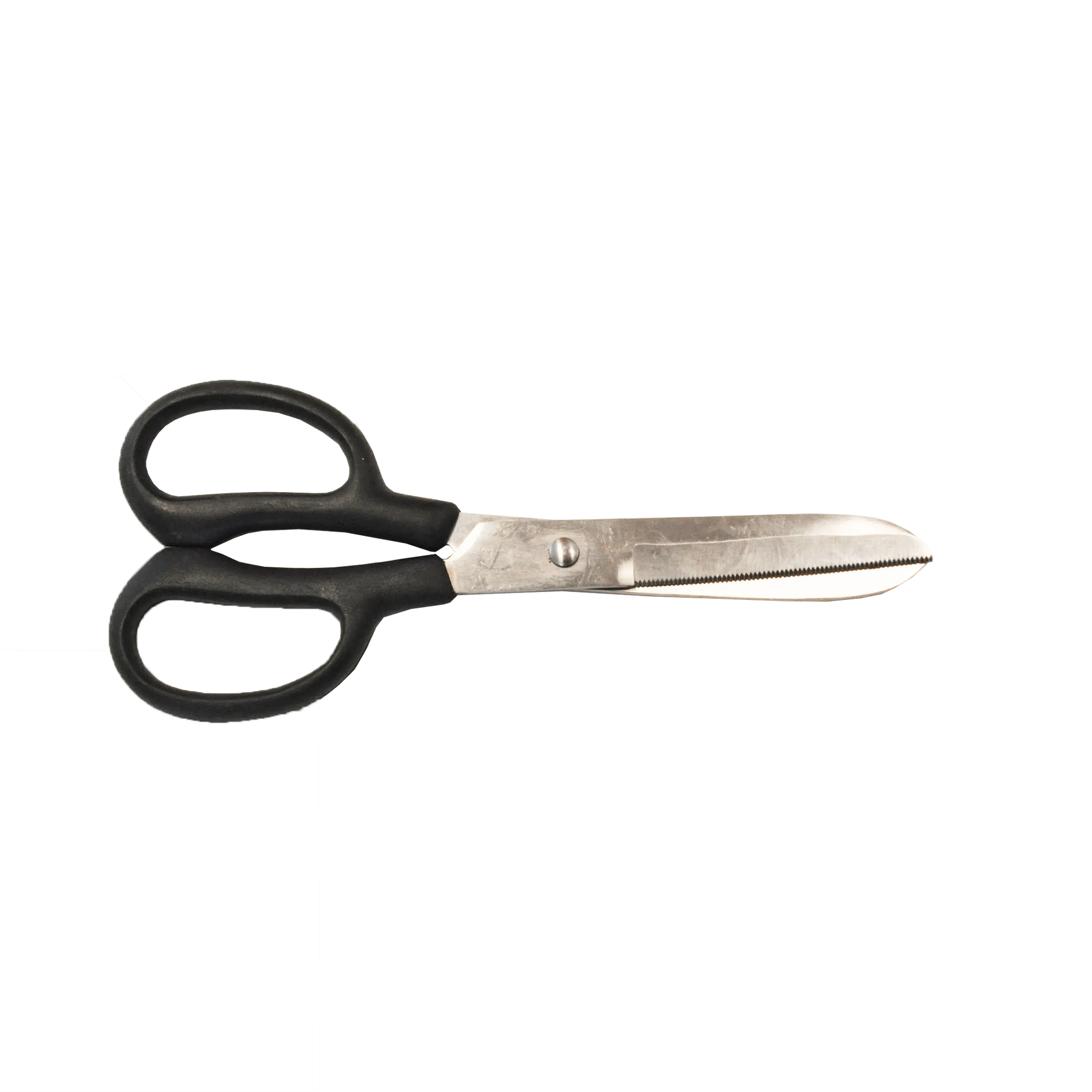 TdeT - Ciseaux de pansage courbé