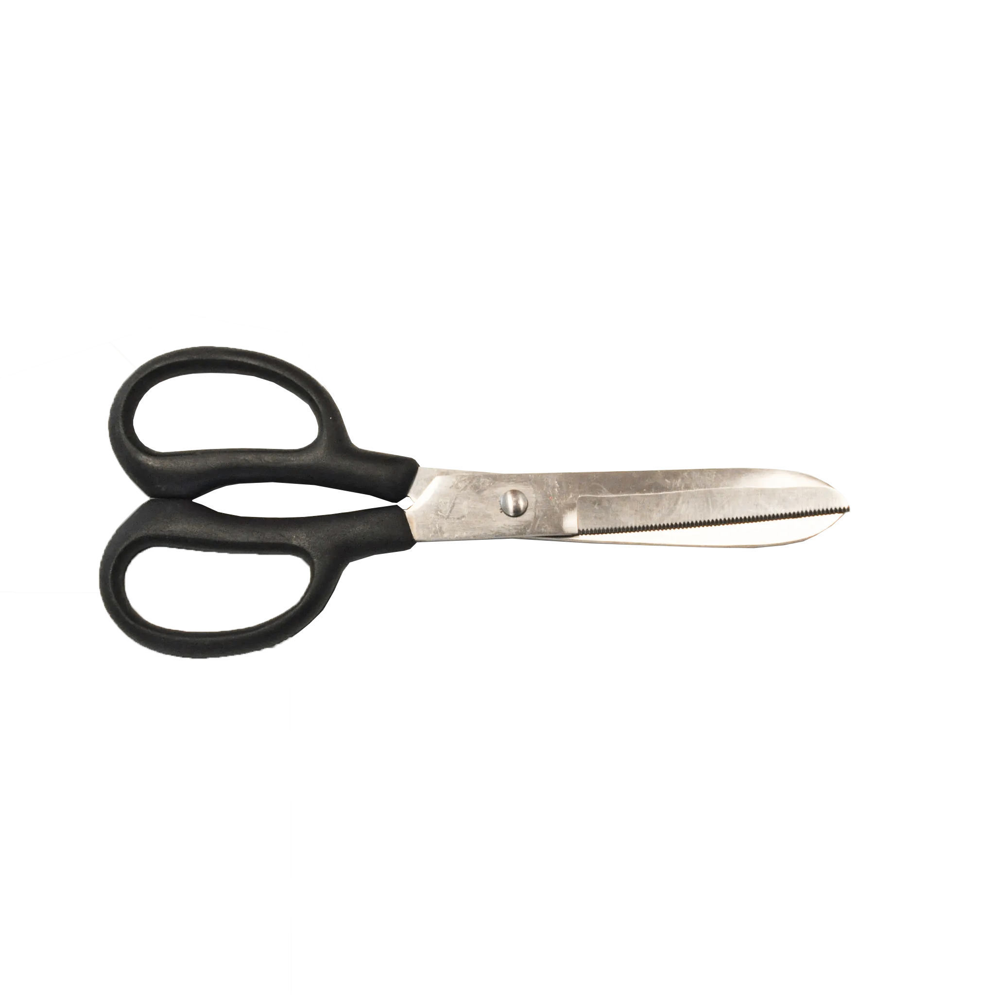 TdeT - Ciseaux de pansage courbé