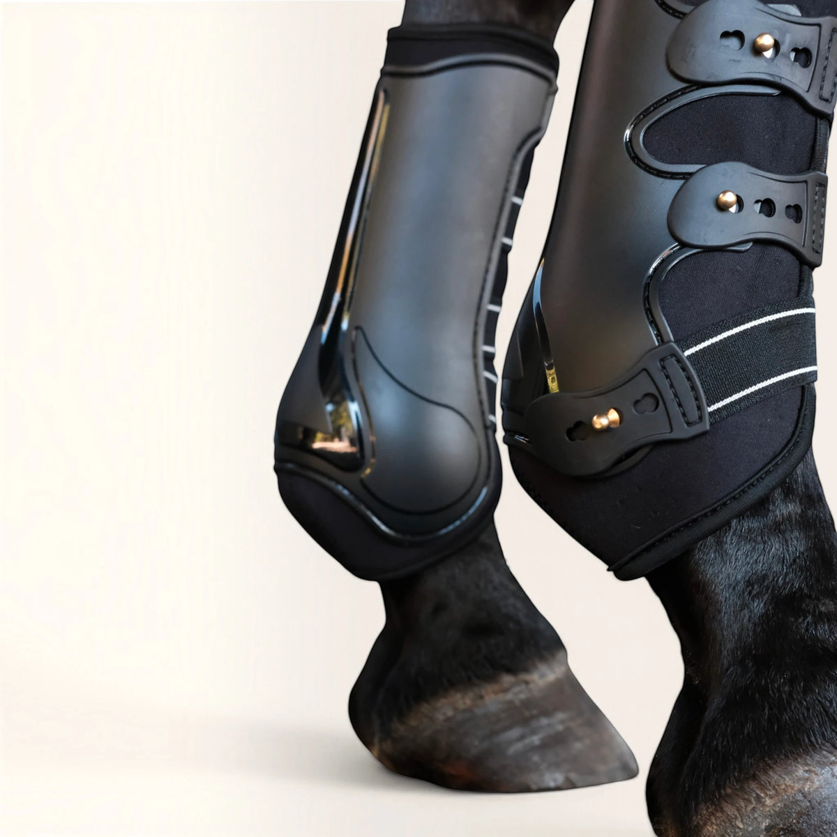 TdeT - Guêtres de dressage noir à élastiques et fermeture boutons