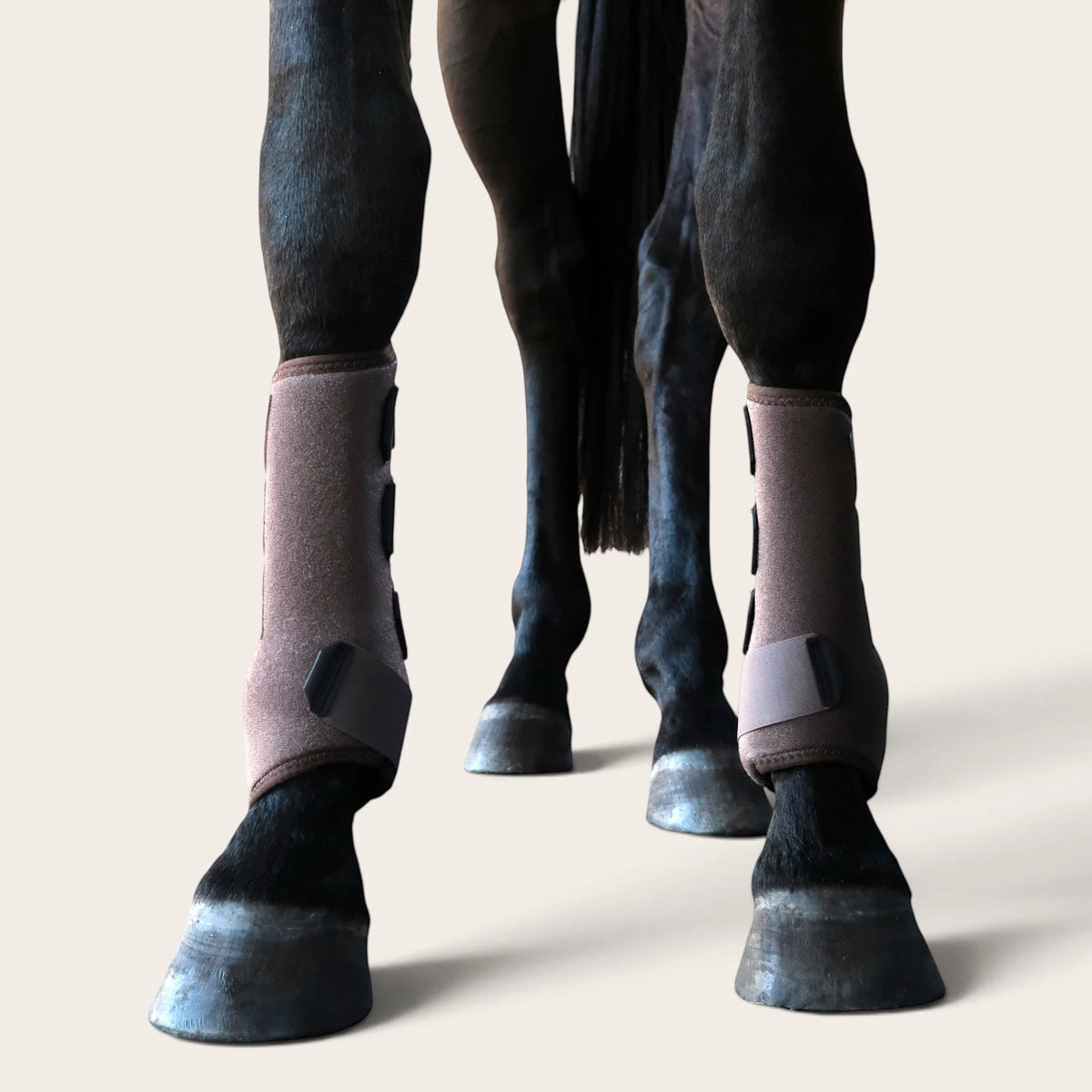 TdeT - Guetres neoprene marron