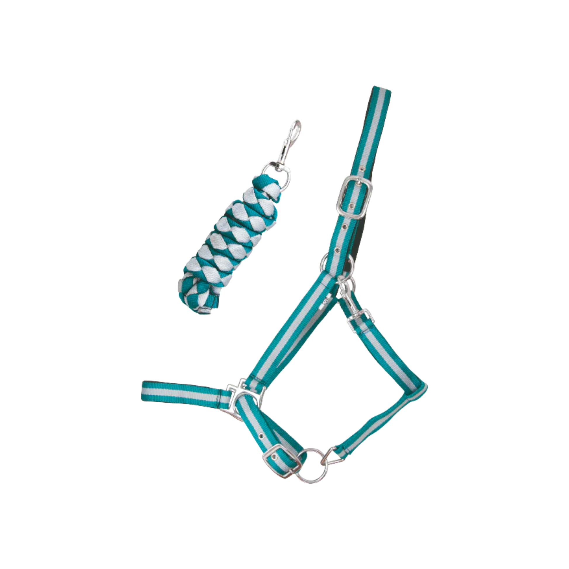 TdeT - Synthetic suede-lined halter with American lead rope turquoise/grey