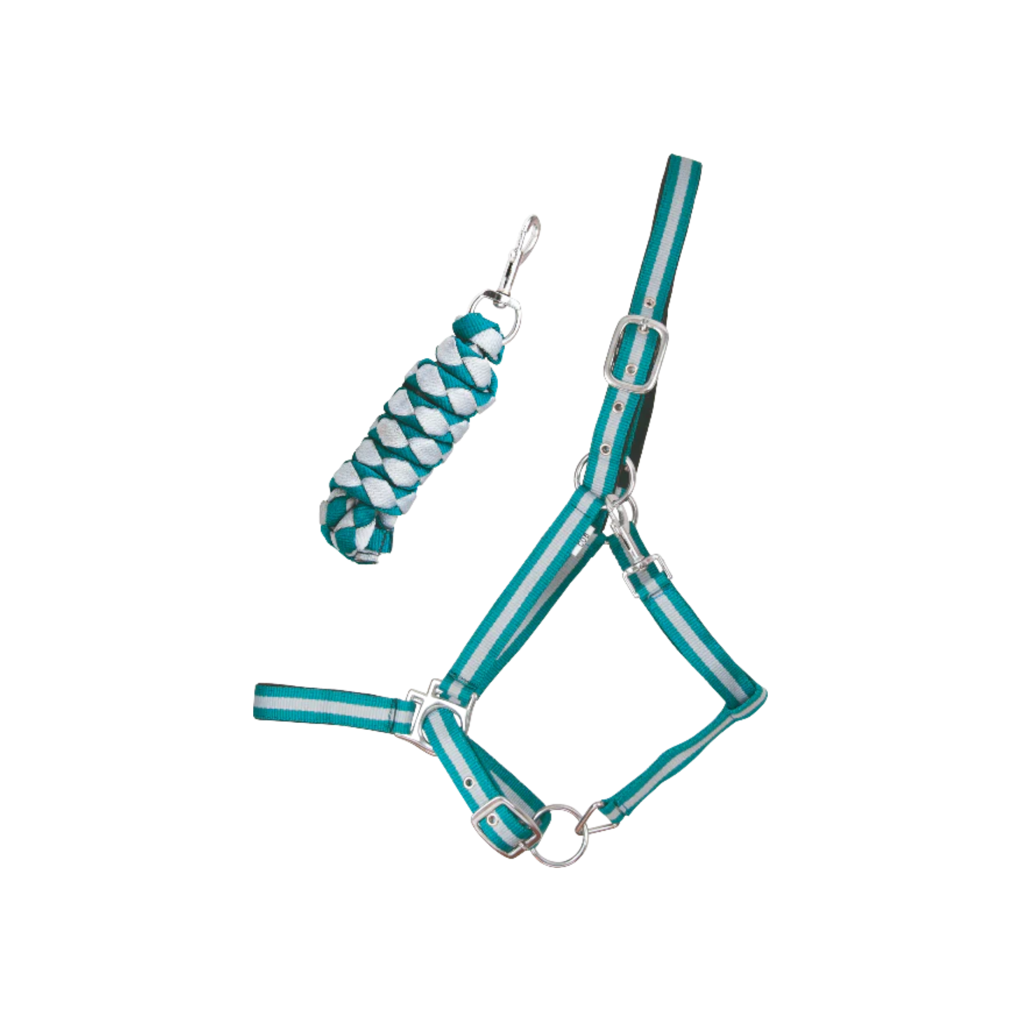 TdeT - Synthetic suede-lined halter with American lead rope turquoise/grey