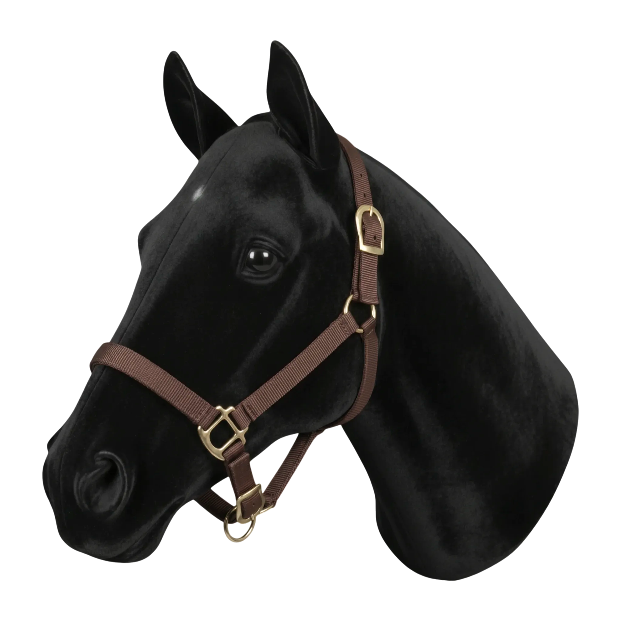 Licol synthétique First marron foncé