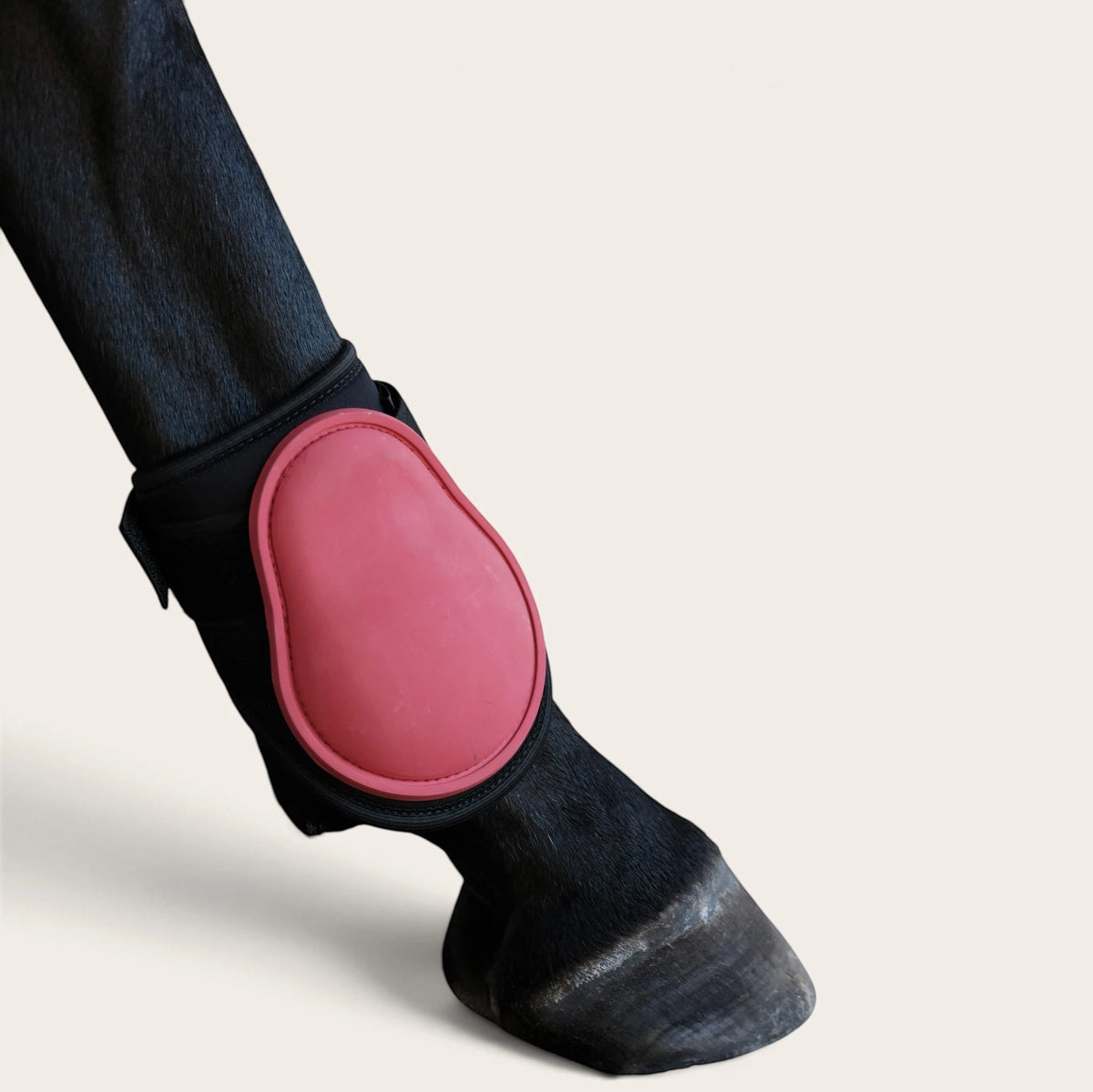 TdeT - Protege Boulets First rouge