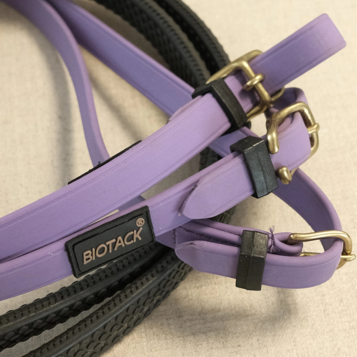 TdeT-Renes Biotack et caoutchouc gros picot Violet