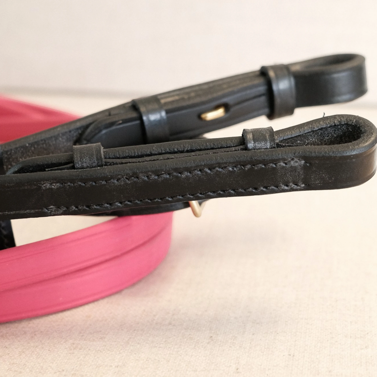 TdeT-Renes Biotack et cuir Fuchsia