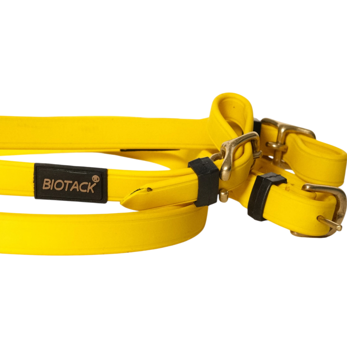 TdeT-Renes Biotack lisses Jaune