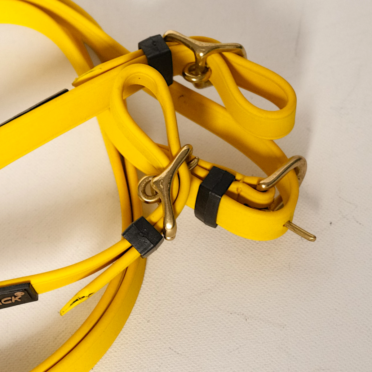 TdeT-Renes Biotack lisses Jaune