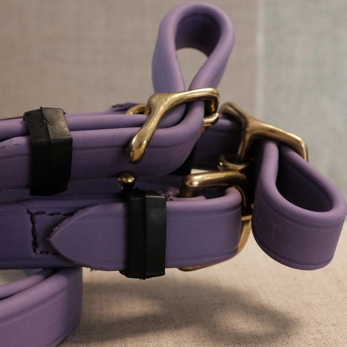 TdeT-Renes Biotack lisses Violet