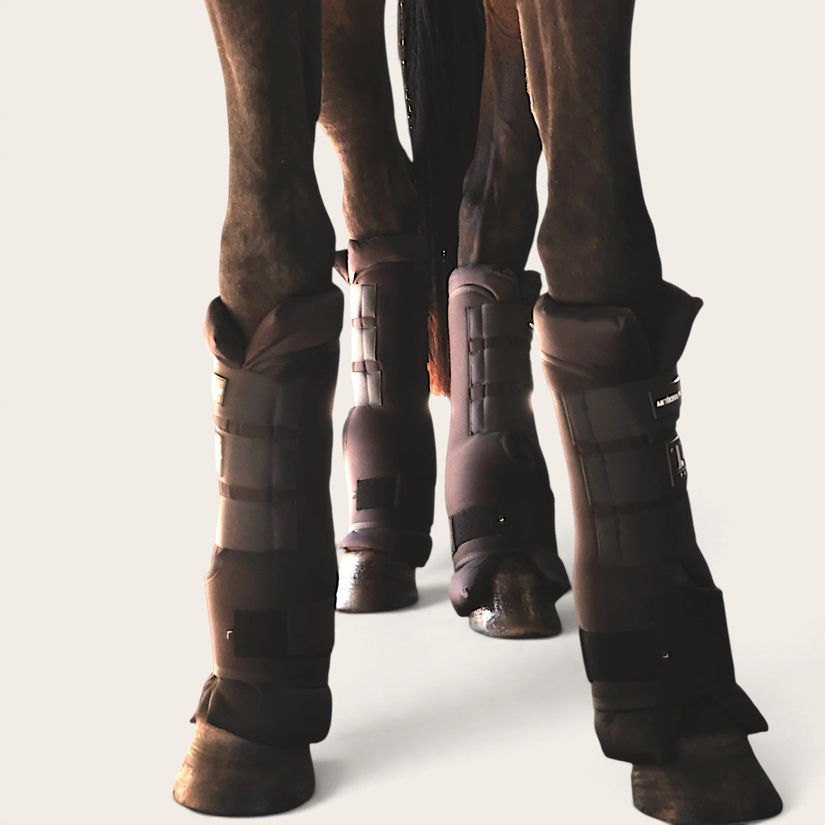 TdeT - Stable Boots Marron