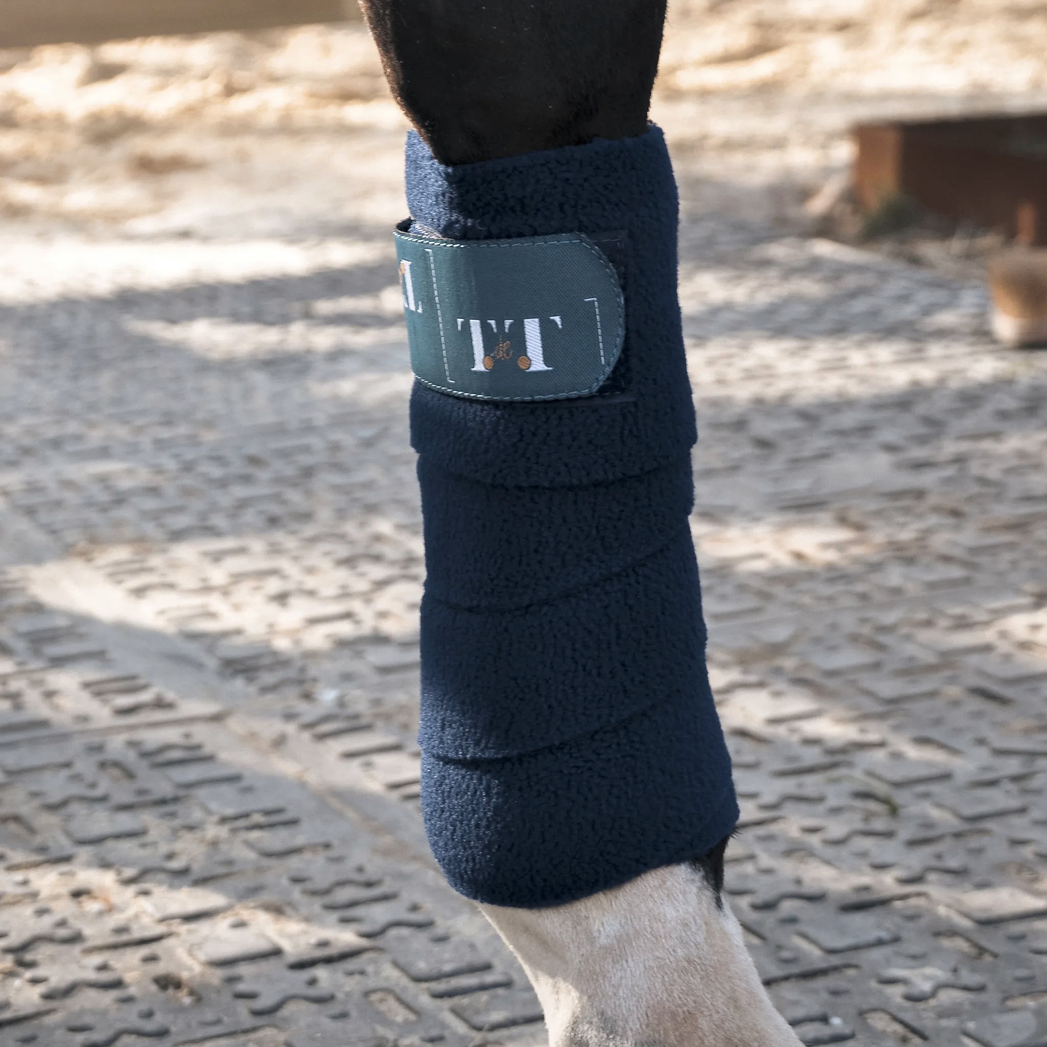 TdeT - Bandes de polo marine