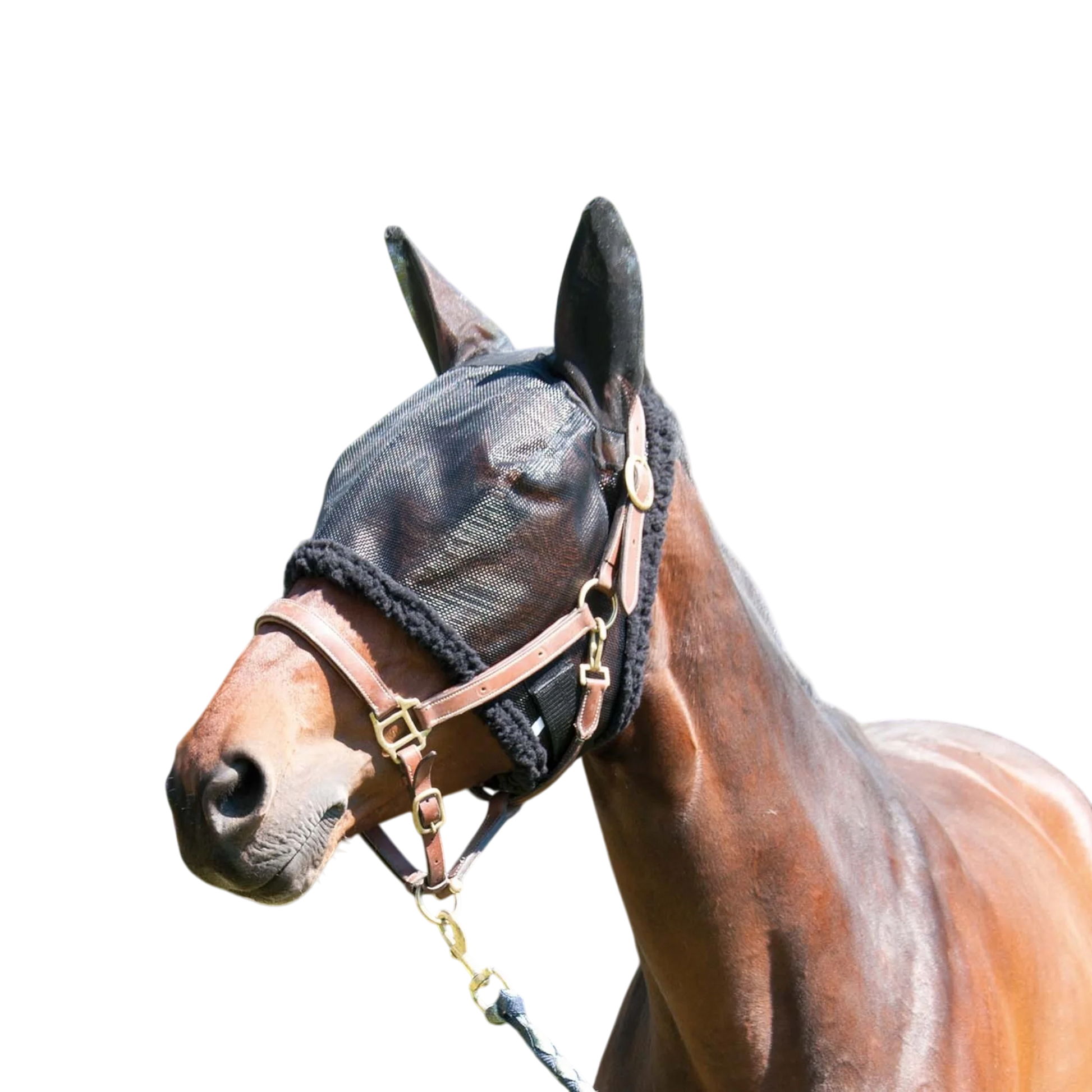 TdeT - Fly mask with ears