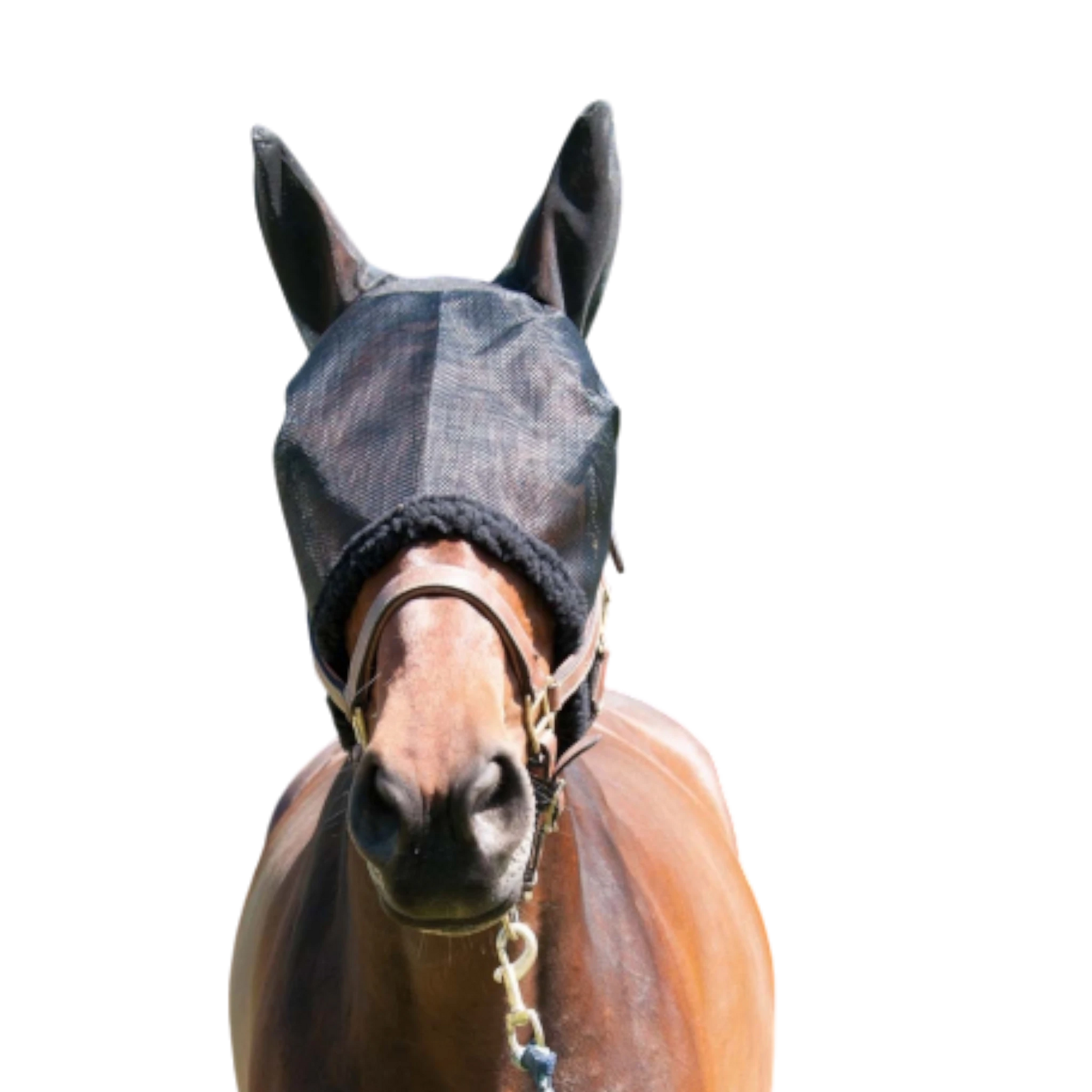 TdeT - Fly mask with ears
