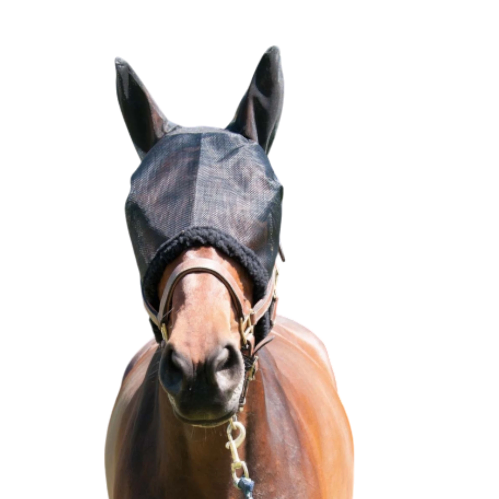 TdeT - Fly mask with ears