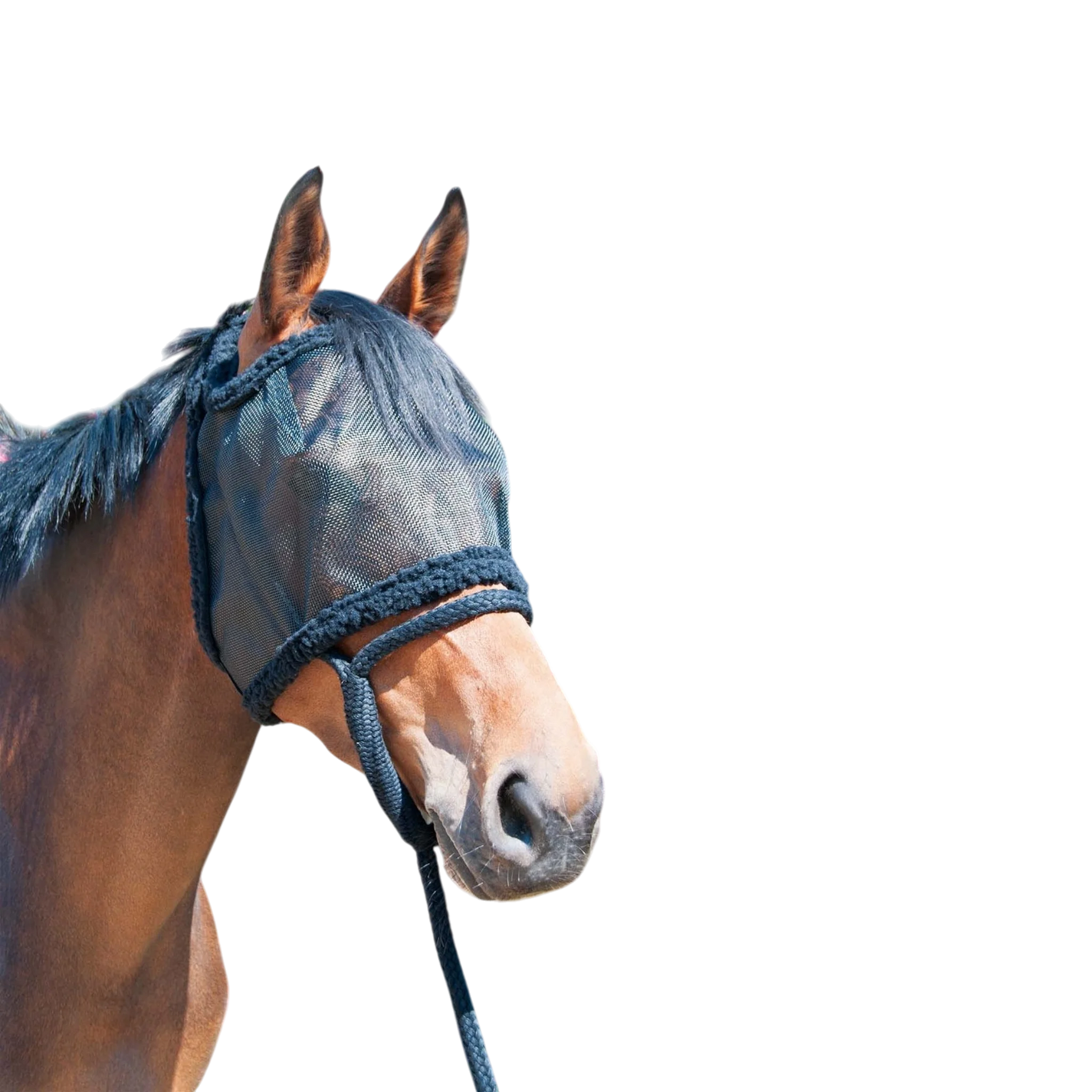 TdeT - Fly mask without ears