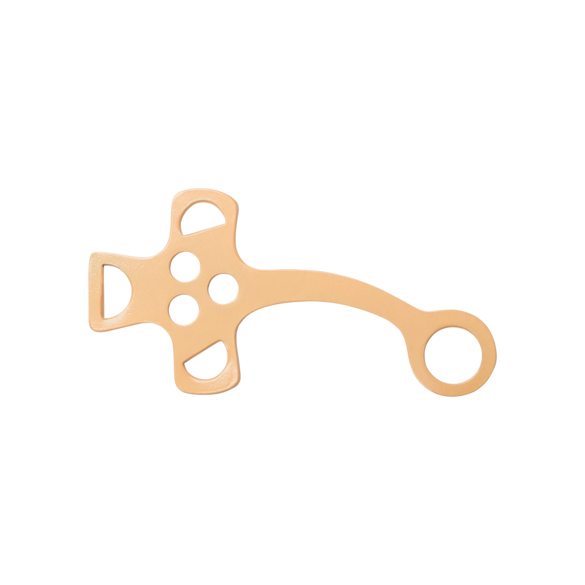 TdeT - Branches d'hackamore or