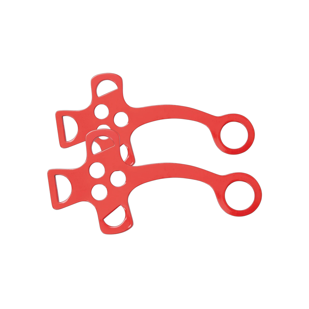 TdeT - Branches d'hackamore rouge
