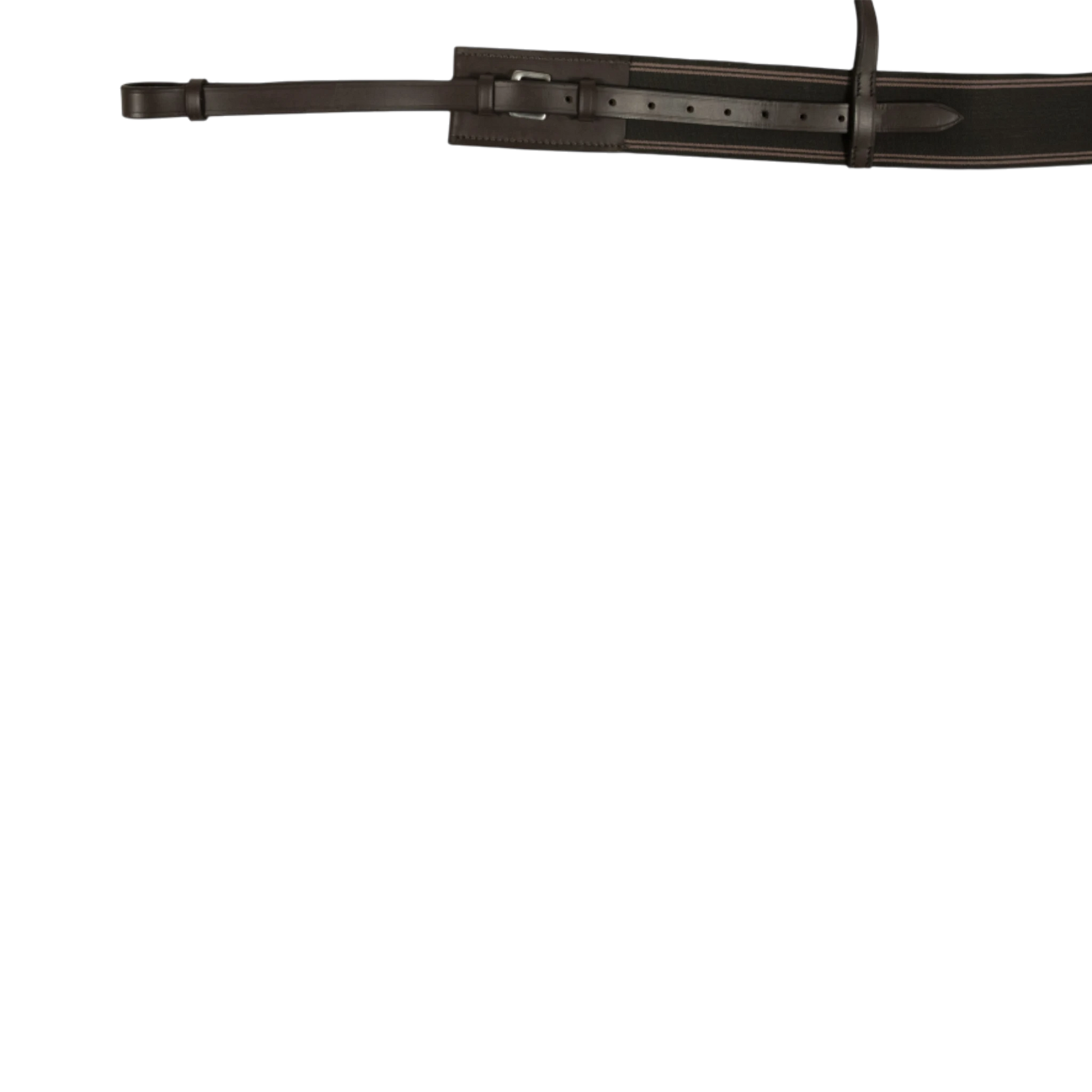 TdeT - Elastic breastplate dark havana