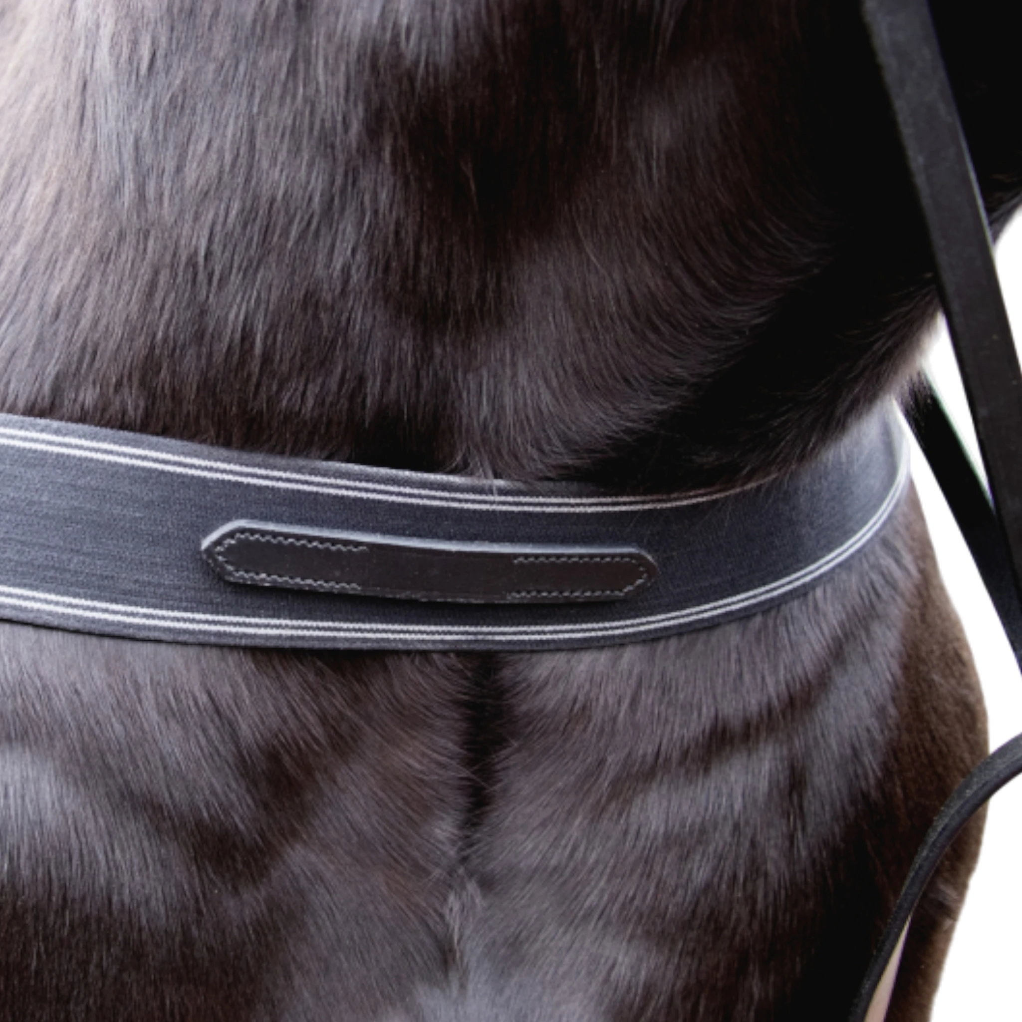 TdeT - Elastic breastplate black