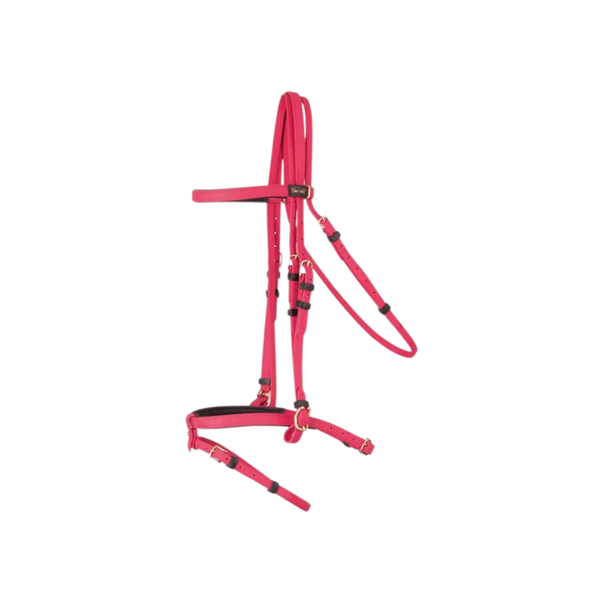TdeT - Biotack® bridle fuchsia