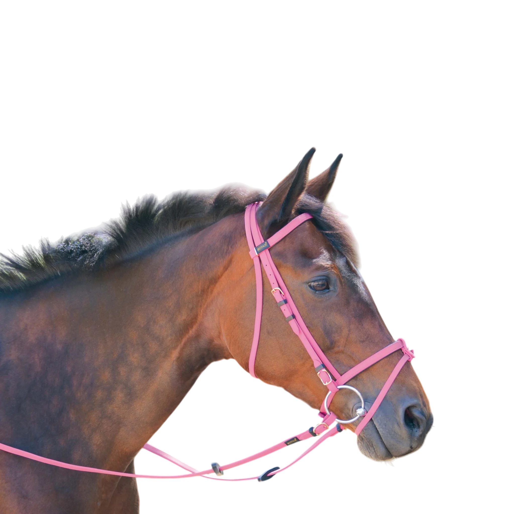 TdeT - Biotack® bridle fuchsia