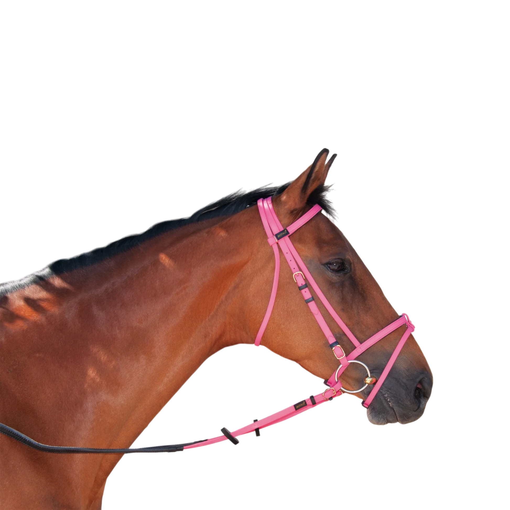 TdeT - Biotack® bridle pink