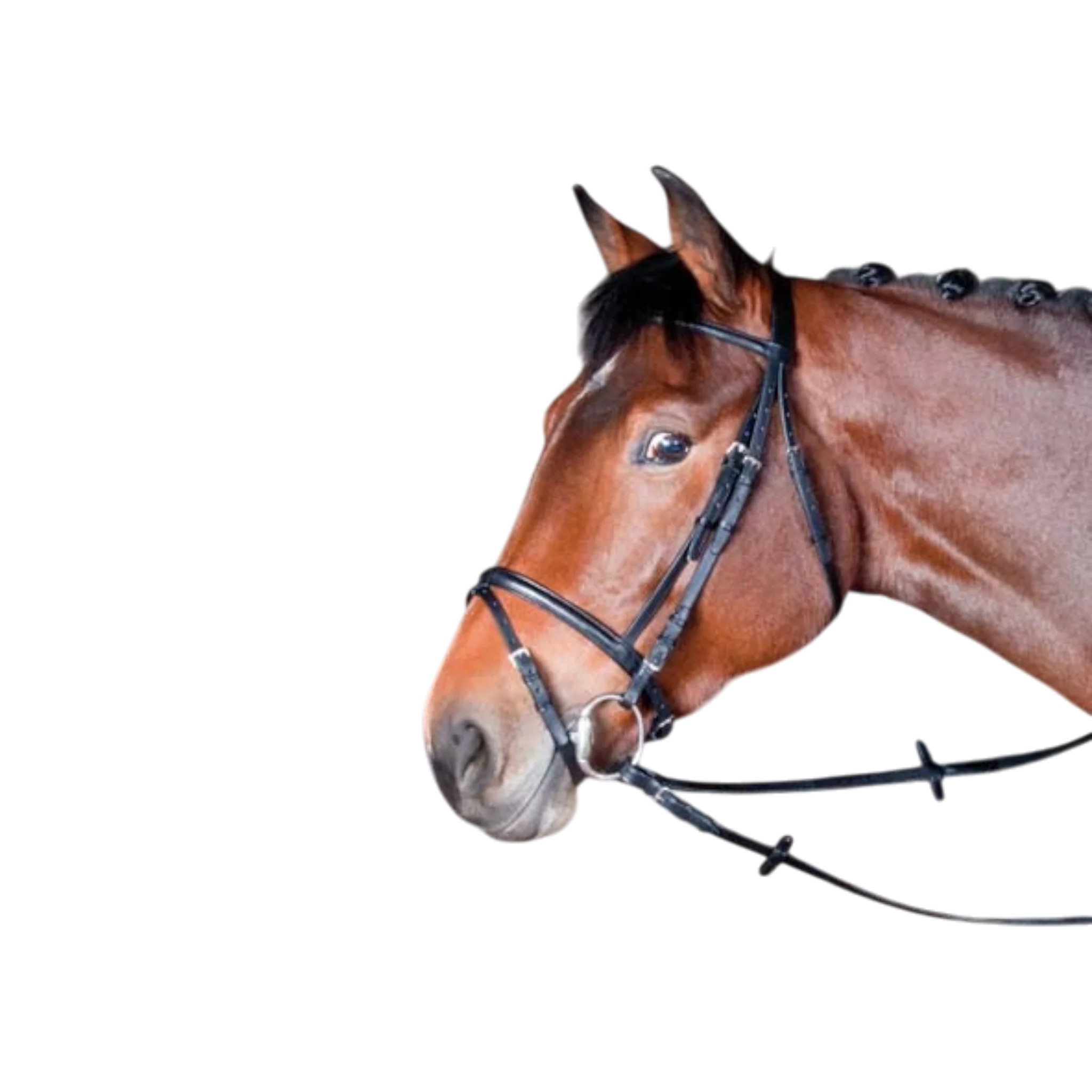 TdeT - Classic Bellini bridle with reins black