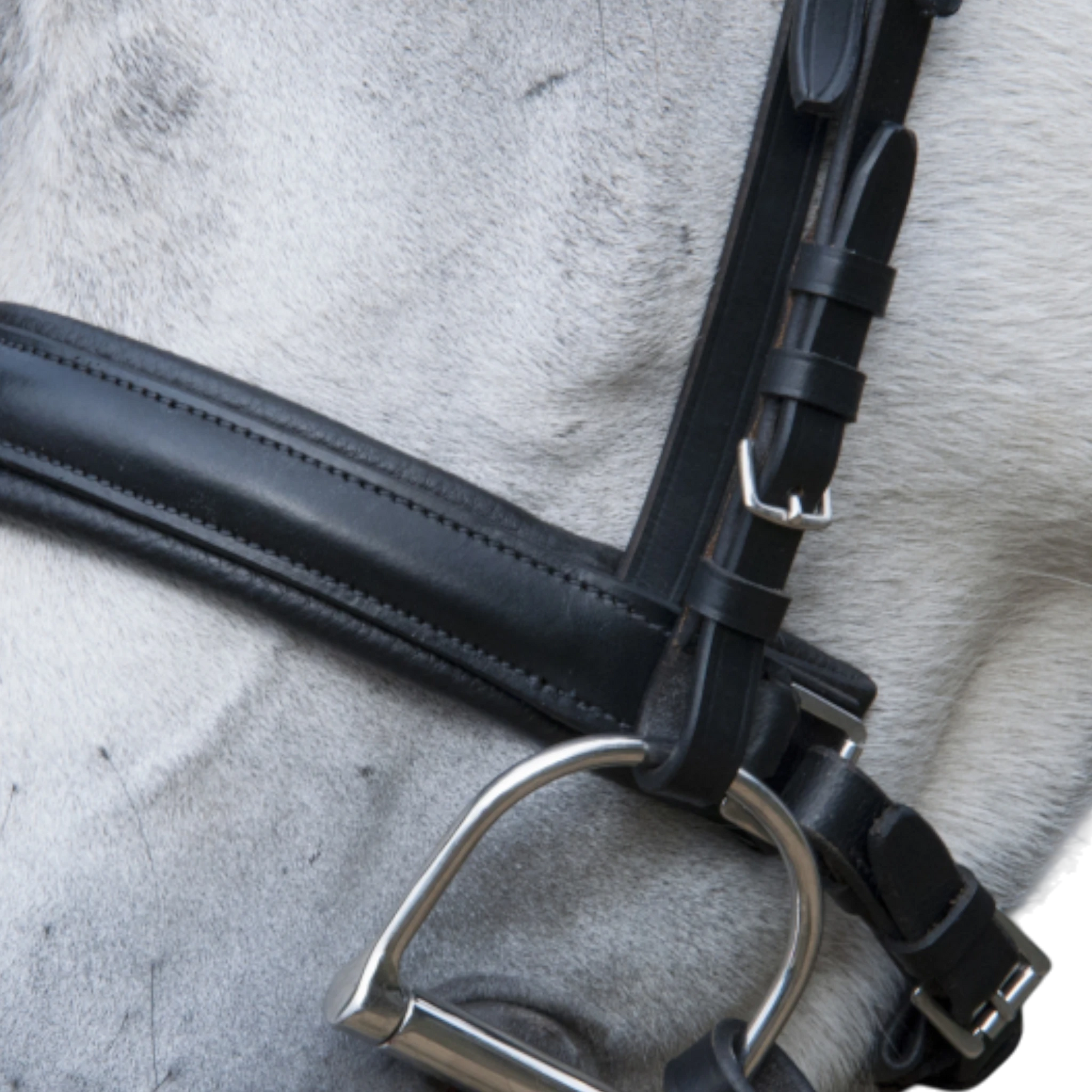 TdeT - Classic Pull-back bridle with reins black