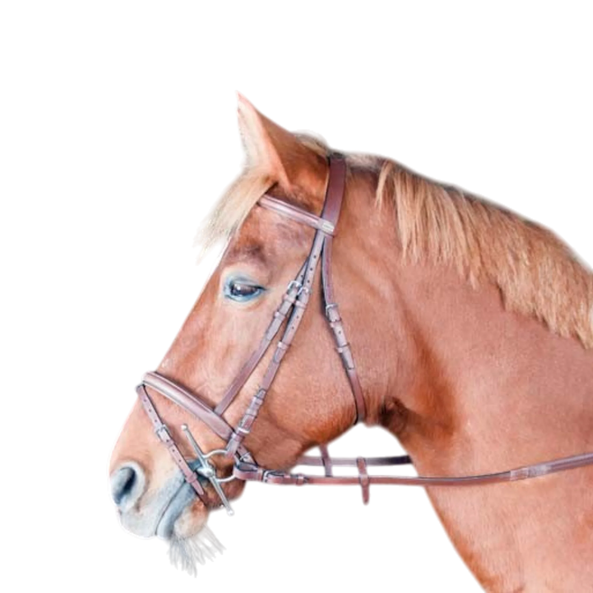 TdeT - Classic Sisley combined noseband bridle with reins tobacco