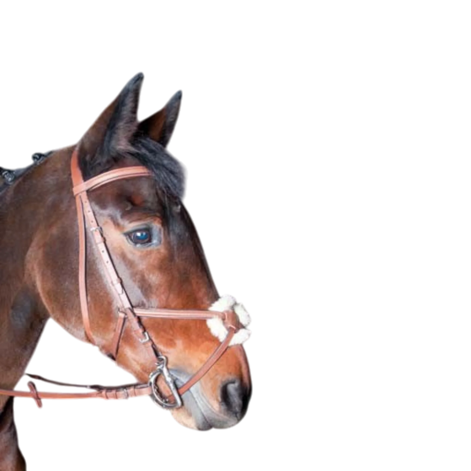 TdeT - Bridon classique Sisley muserolle croisée avec rênes tabac