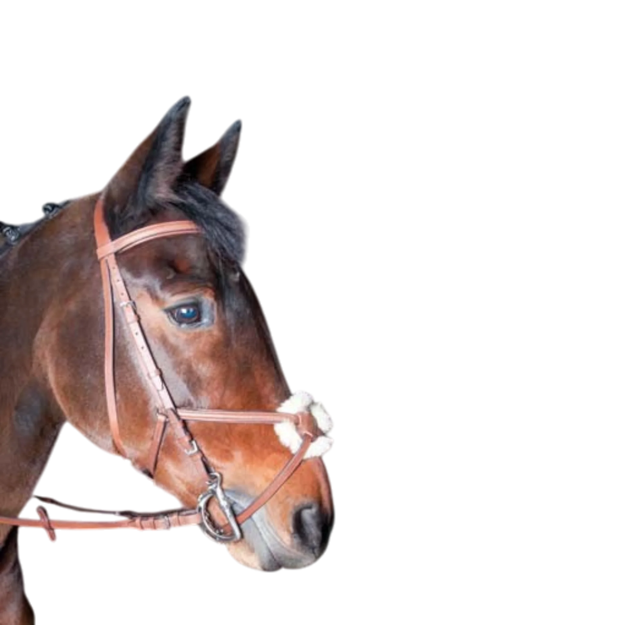 TdeT - Bridon classique Sisley muserolle croisée avec rênes tabac