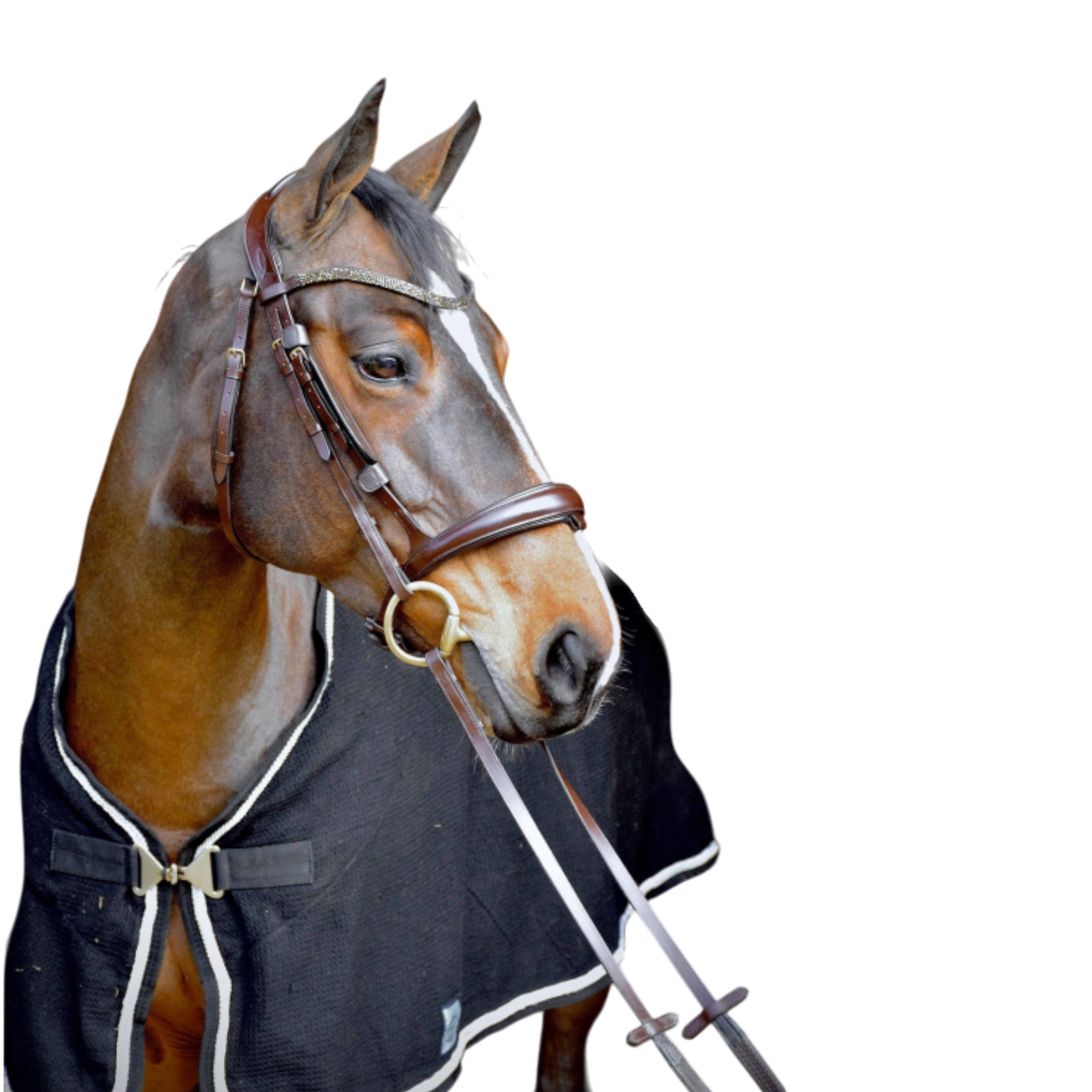 TdeT - Bridon anatomique Hopper avec rênes marron doré