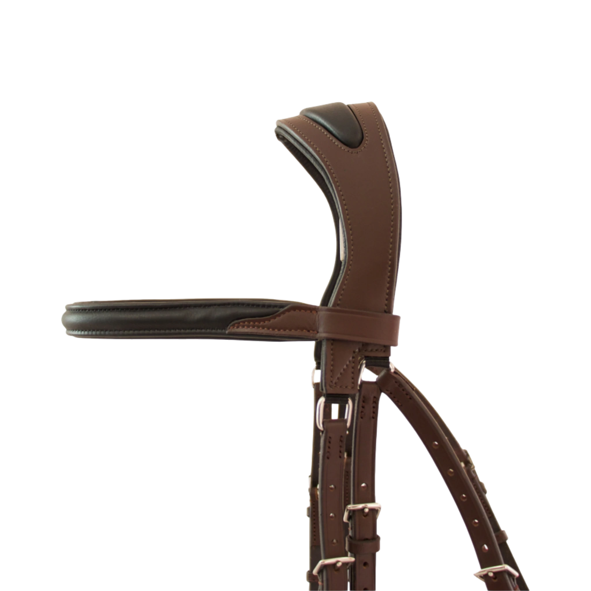 TdeT - Bridon anatomique Lautrec muserolle pull back avec rênes havane foncé noir