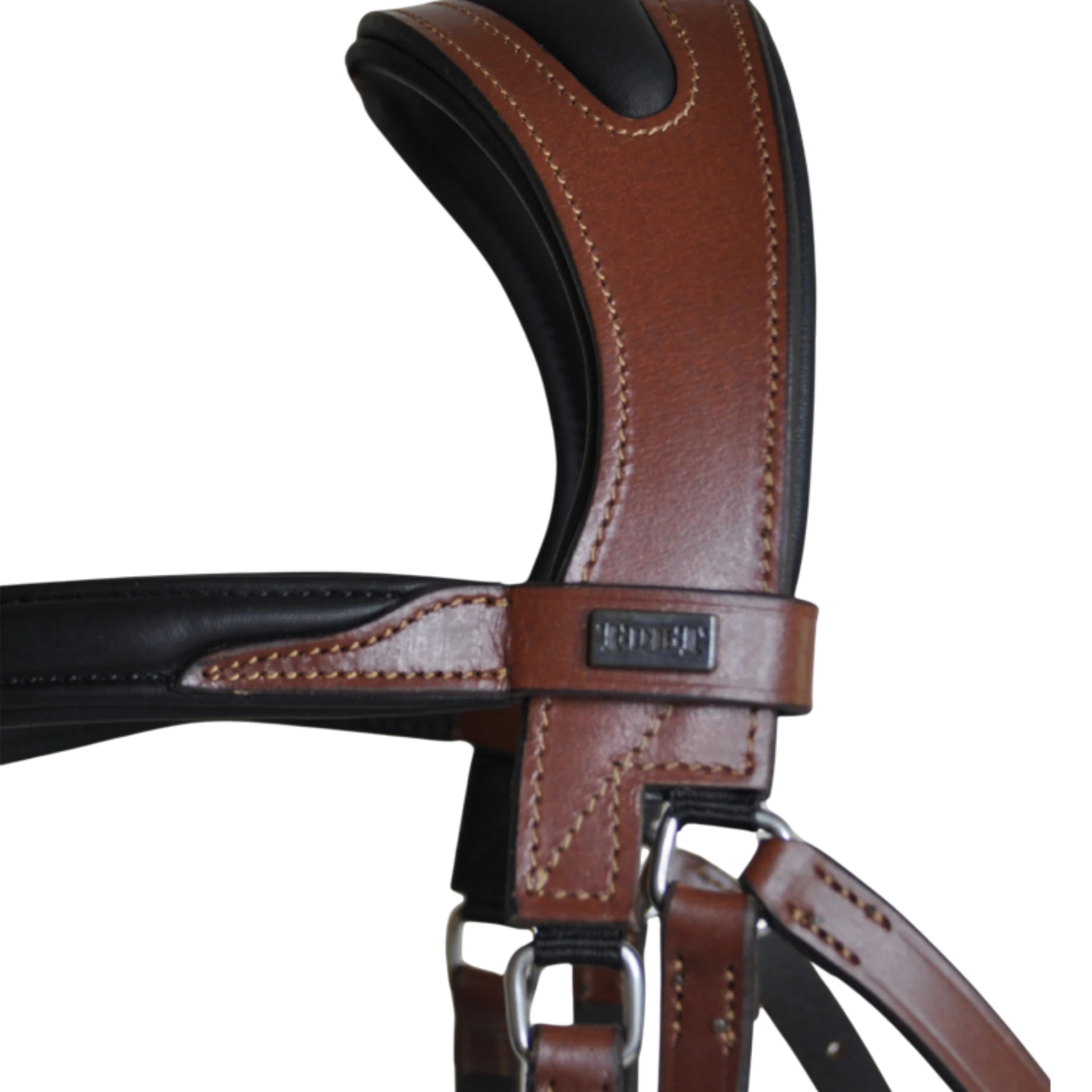 TdeT - Bridon anatomique Lautrec muserolle pull back avec rênes tabac noir