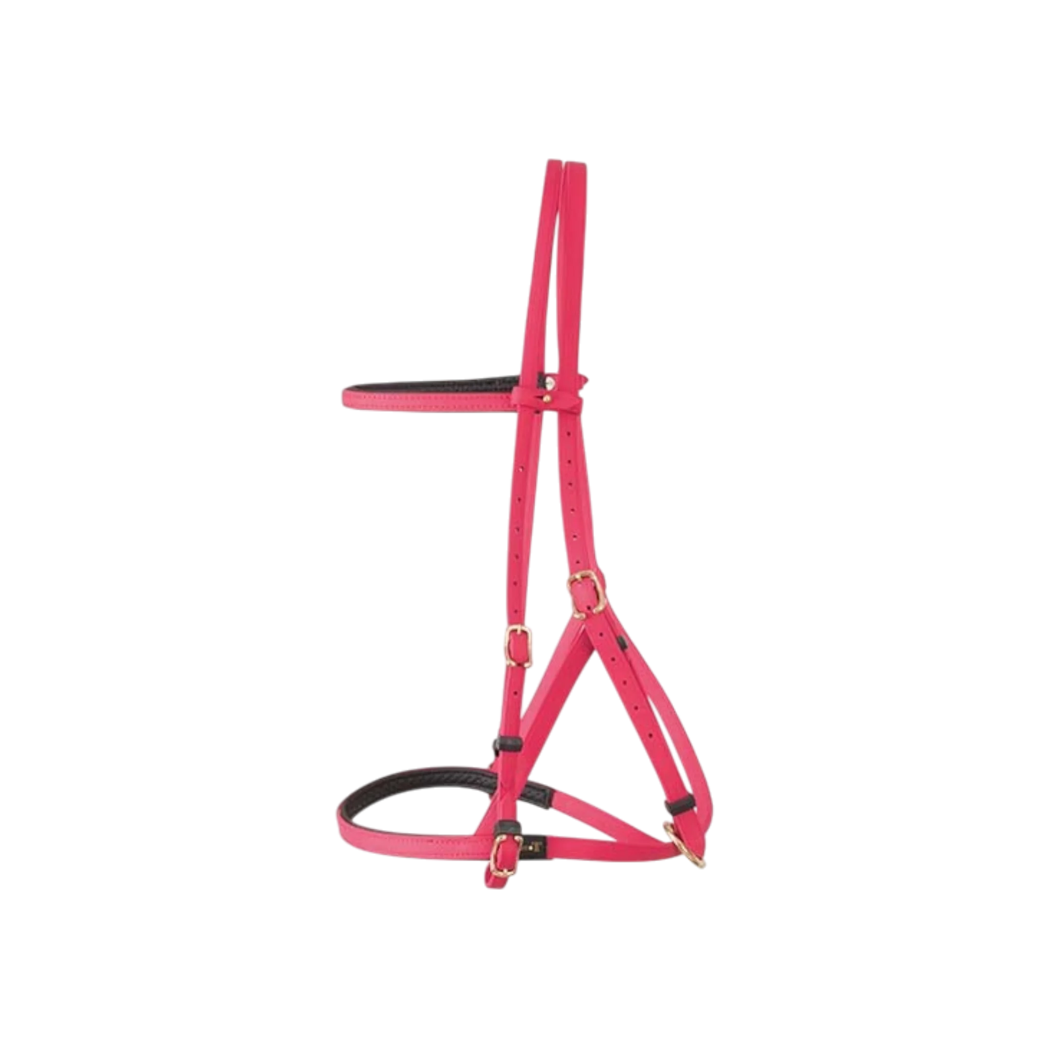 TdeT - Biotack® halter bridle fuchsia