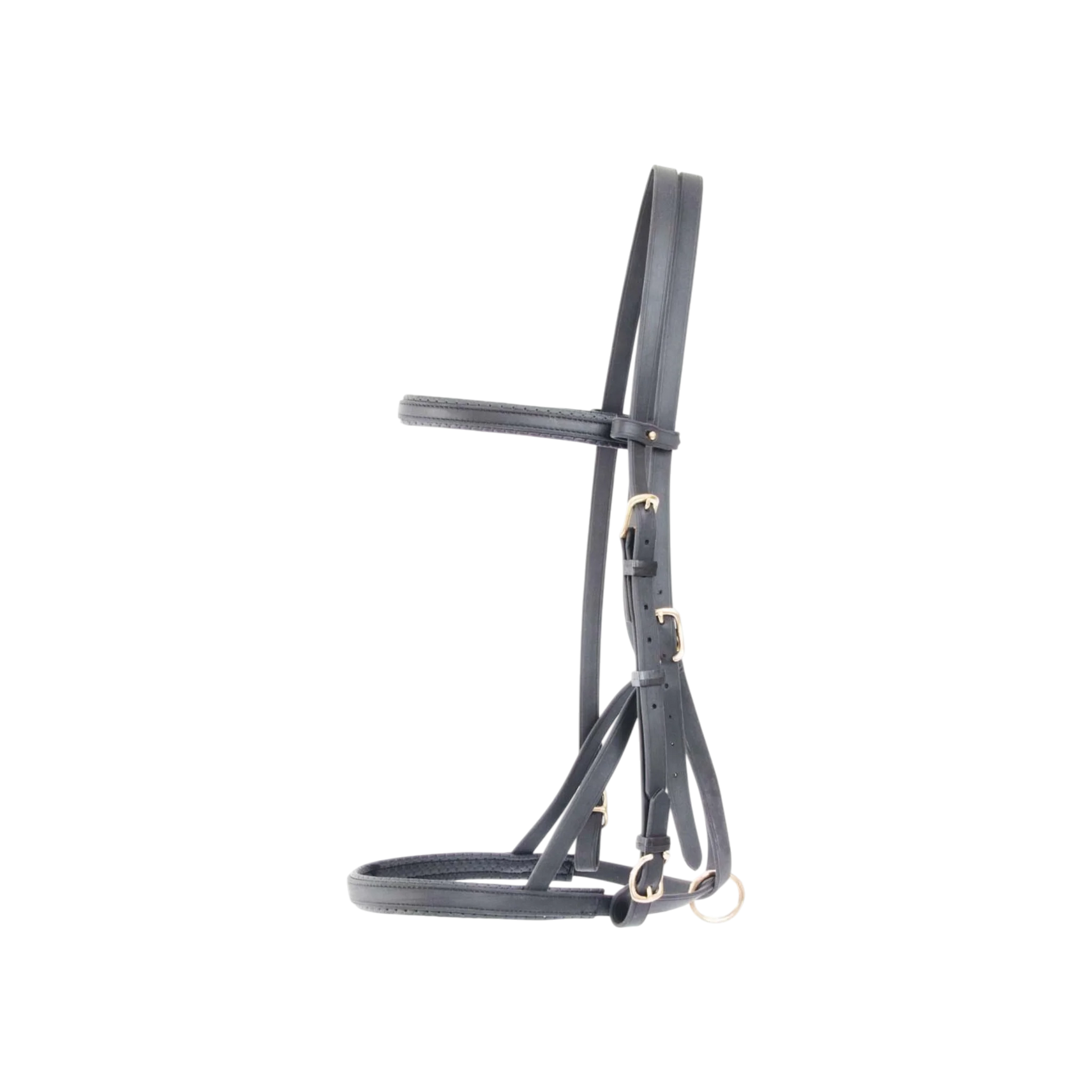 TdeT - Biotack® halter bridle black