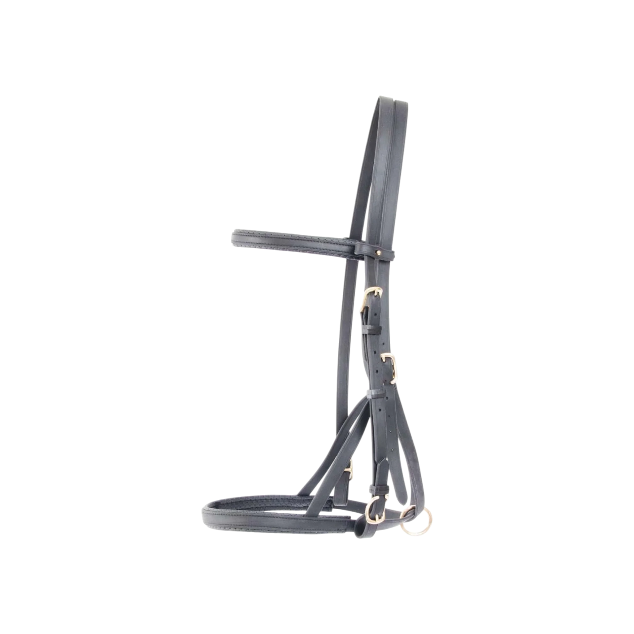 TdeT - Bridon licol Biotack® noir