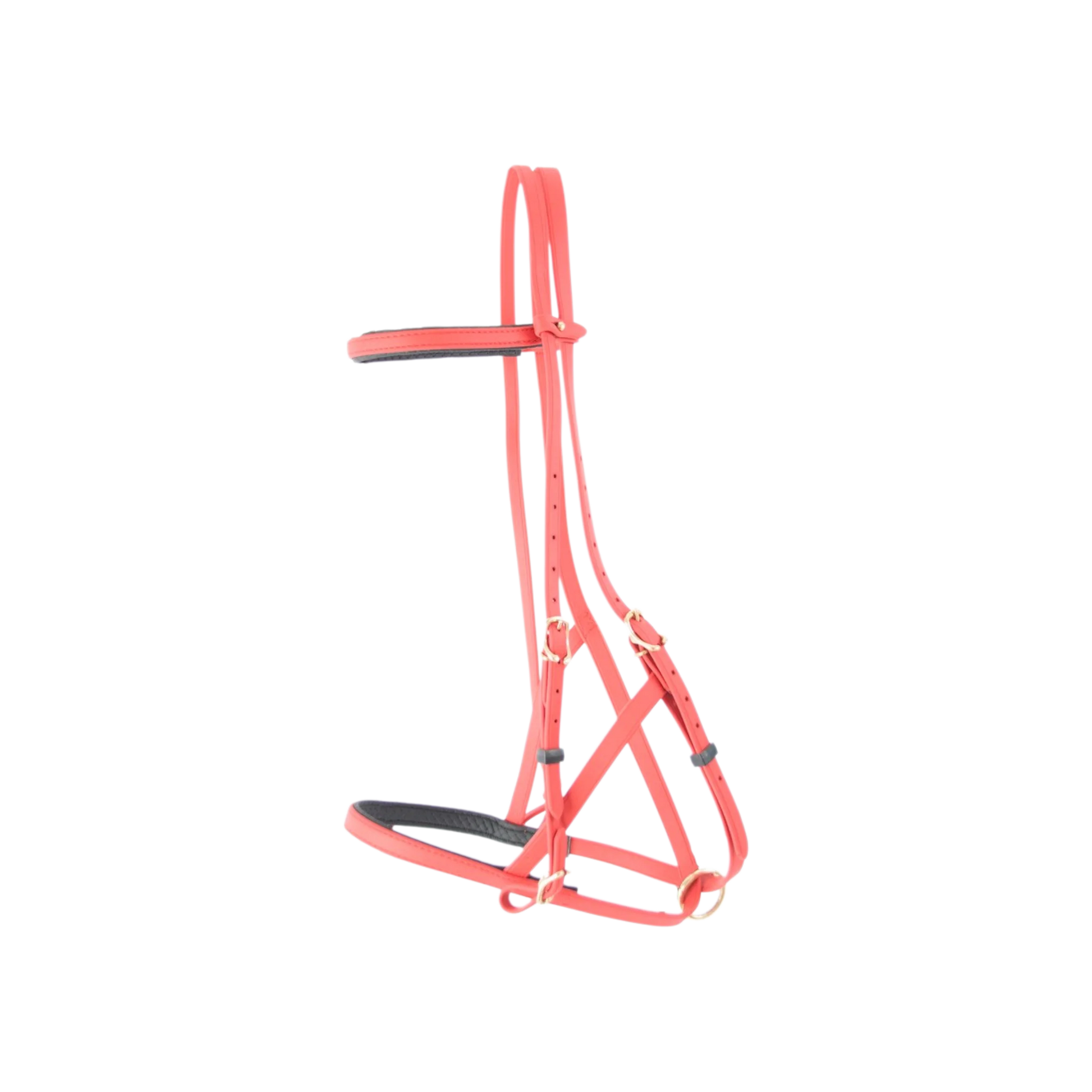 TdeT - Biotack® halter bridle red