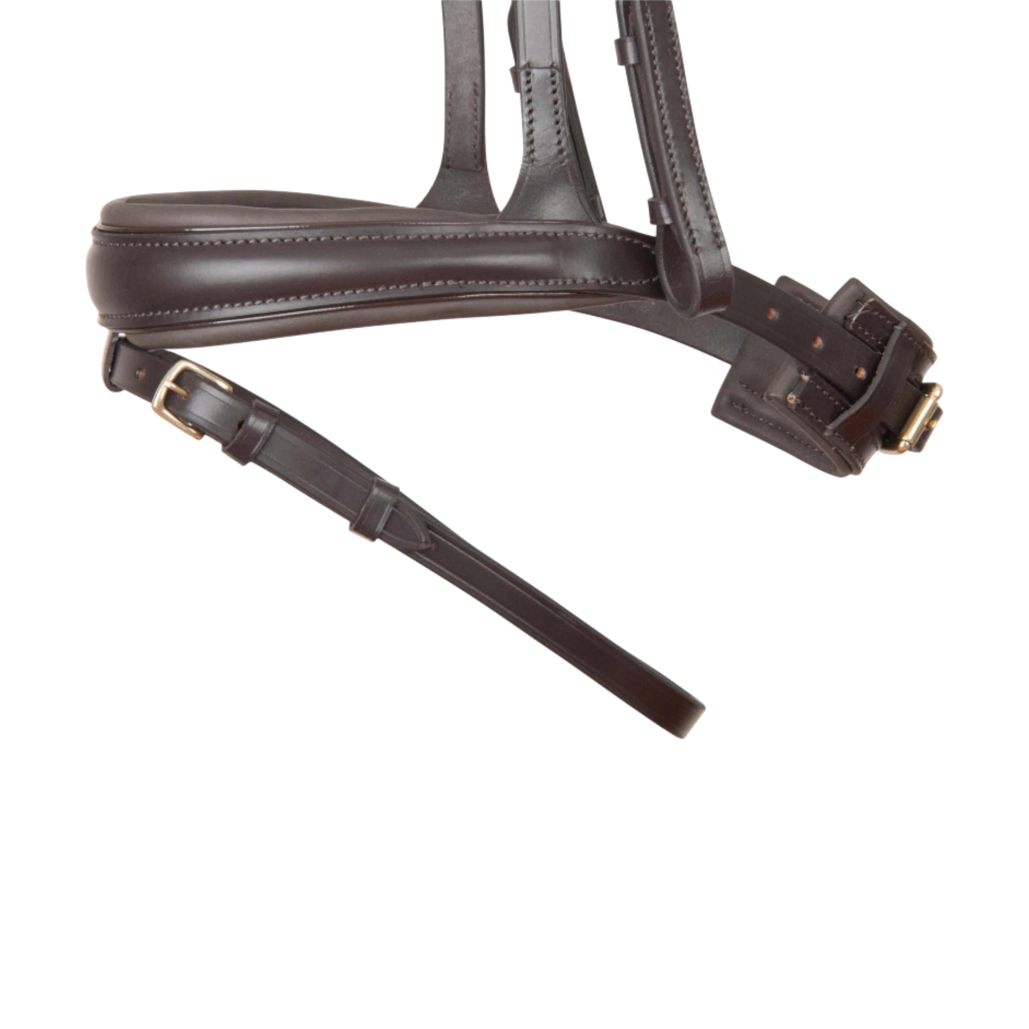 TdeT - Matisse anatomical bridle with reins brown