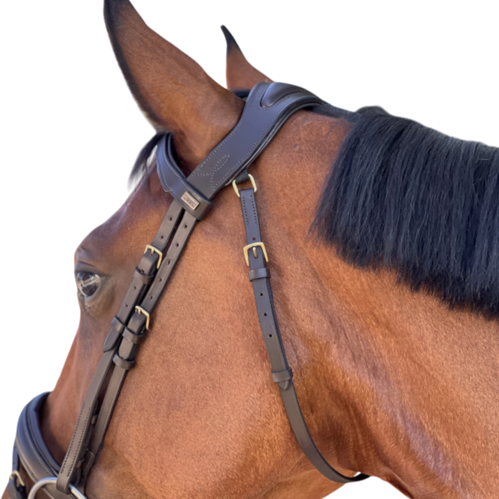 TdeT - Matisse anatomical bridle with reins brown